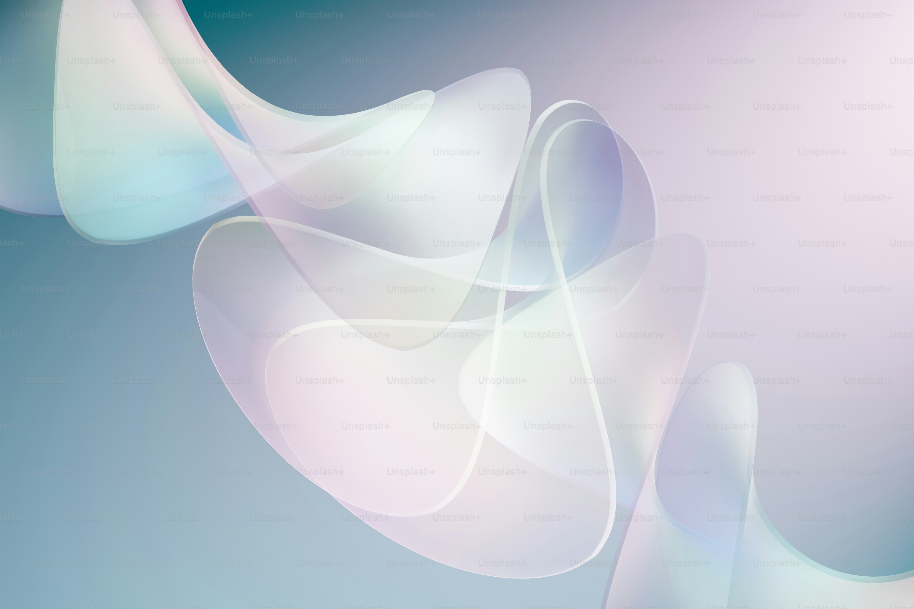 파란색 배경에 있는 흰 꽃의 흐릿한 이미지