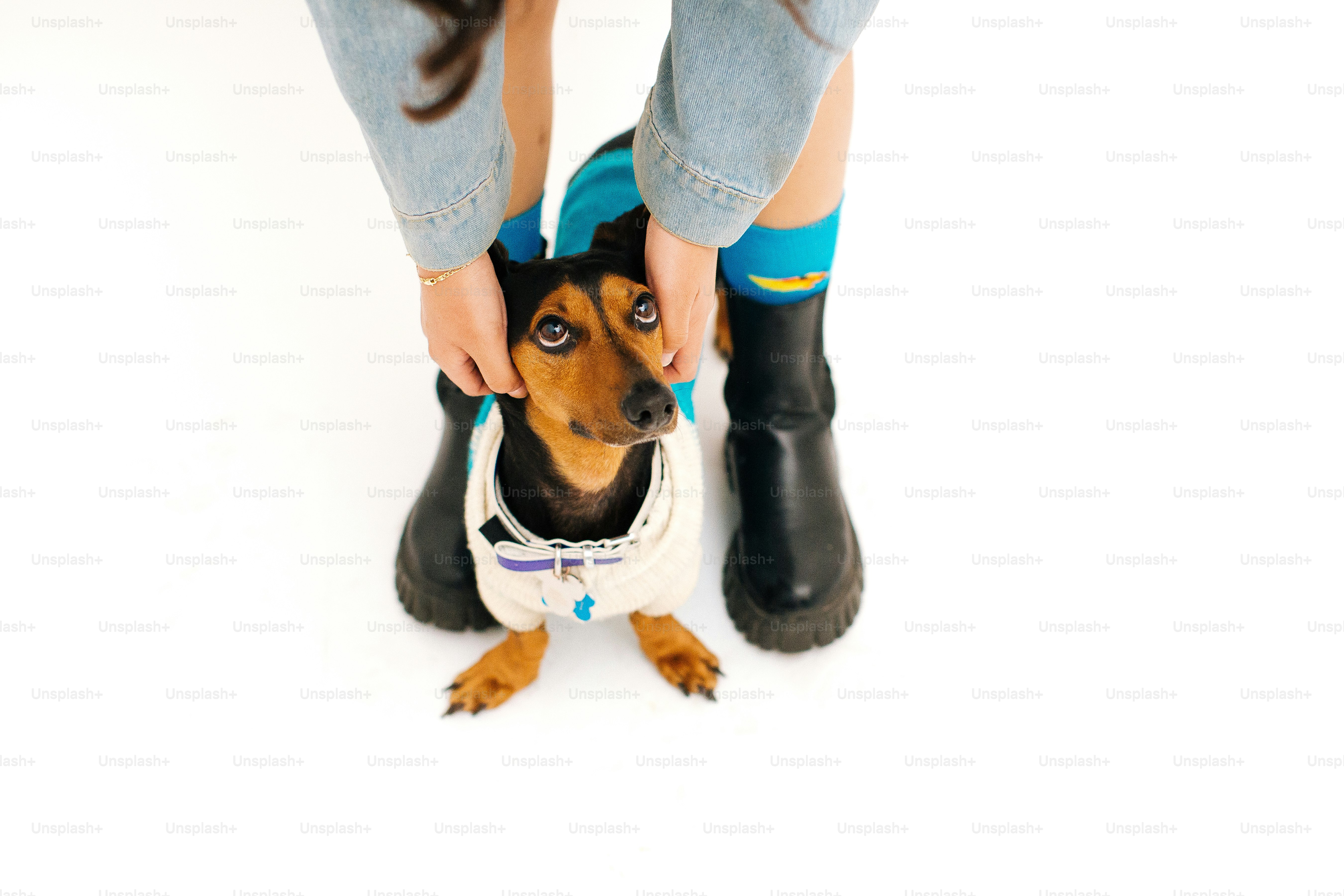 Une femme caresse un petit chien portant des bottes