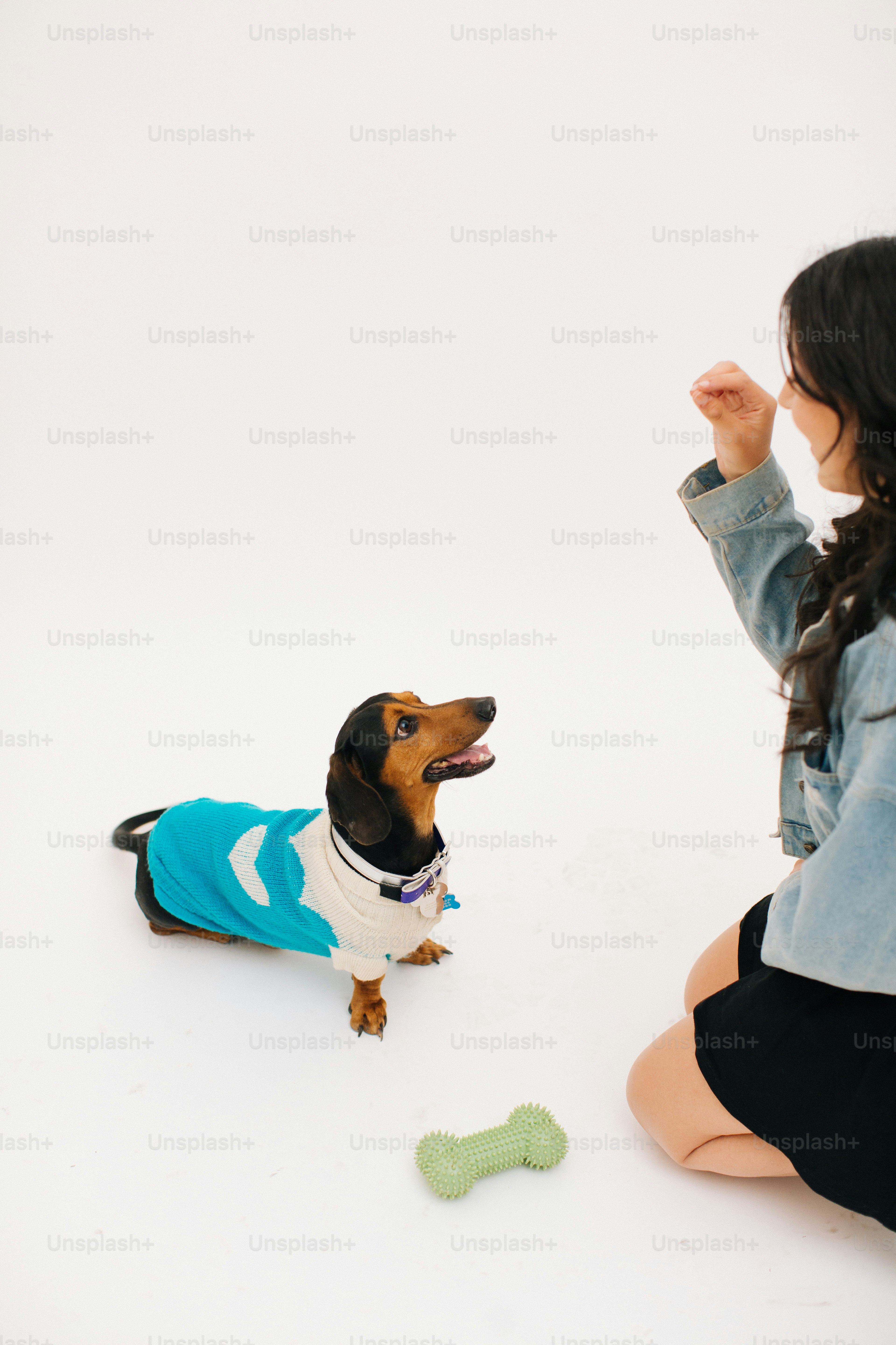 A woman sitting on the floor with a dog