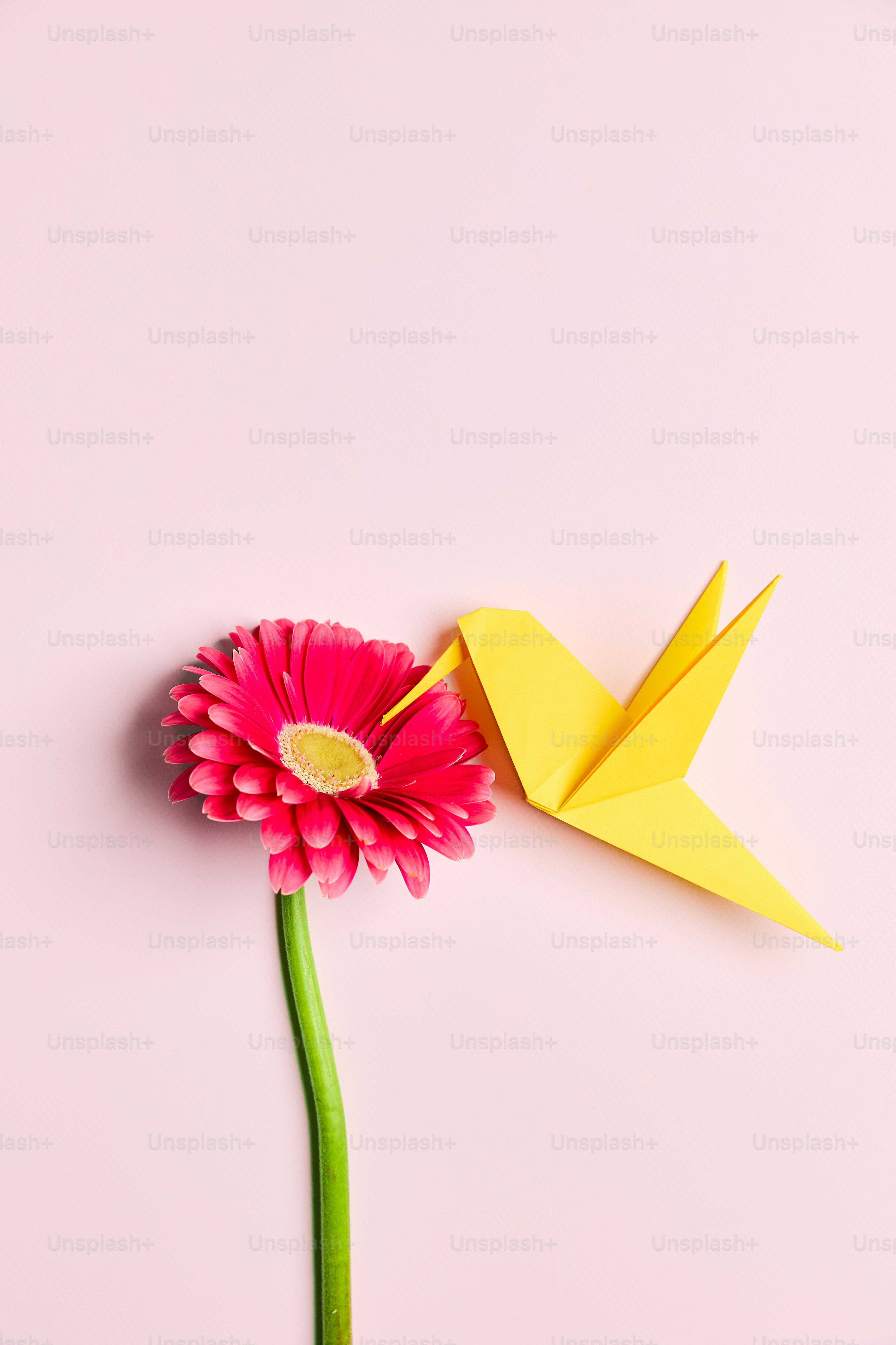 A pink flower with a yellow bird on top of it