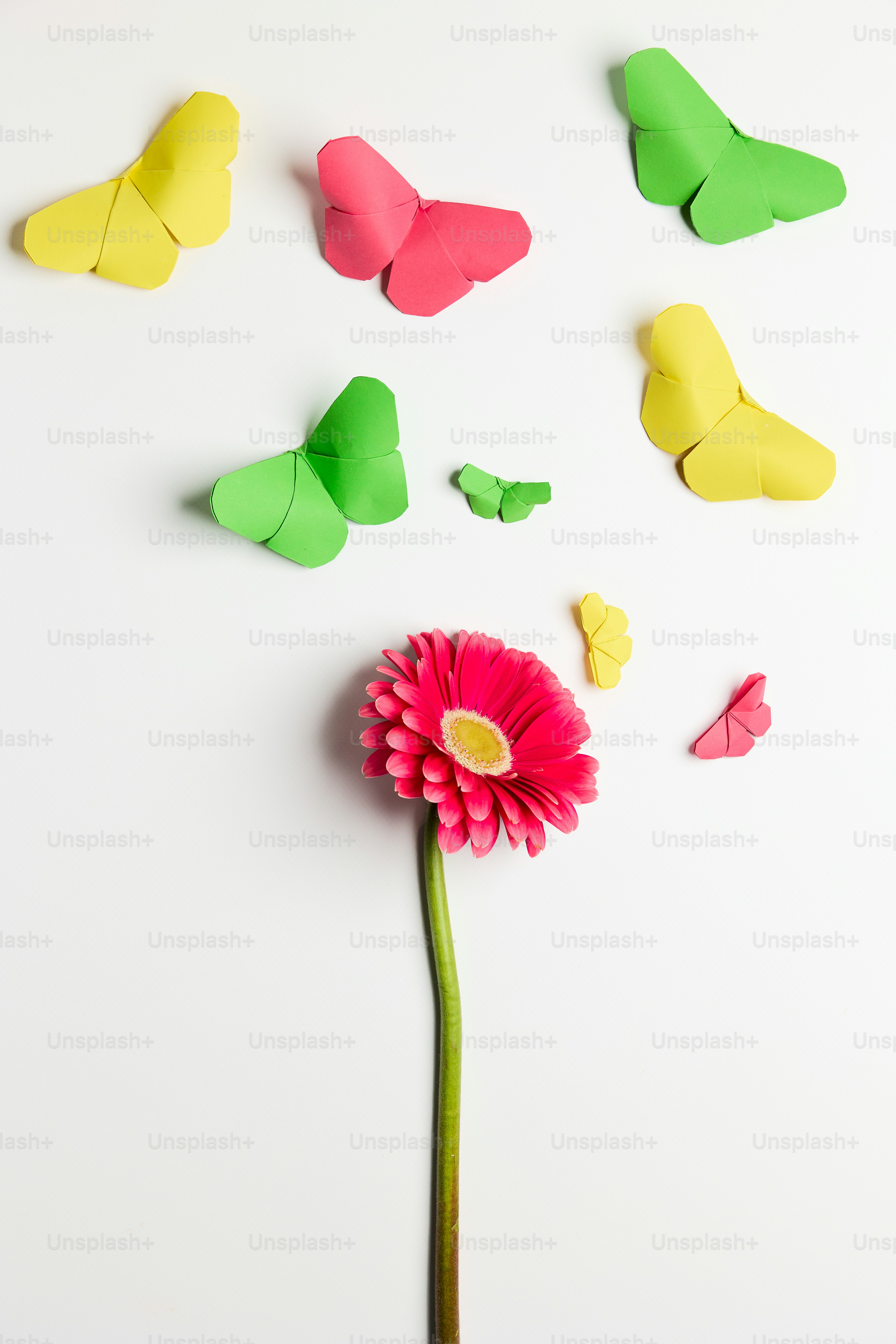 A pink flower surrounded by butterflies on a white background