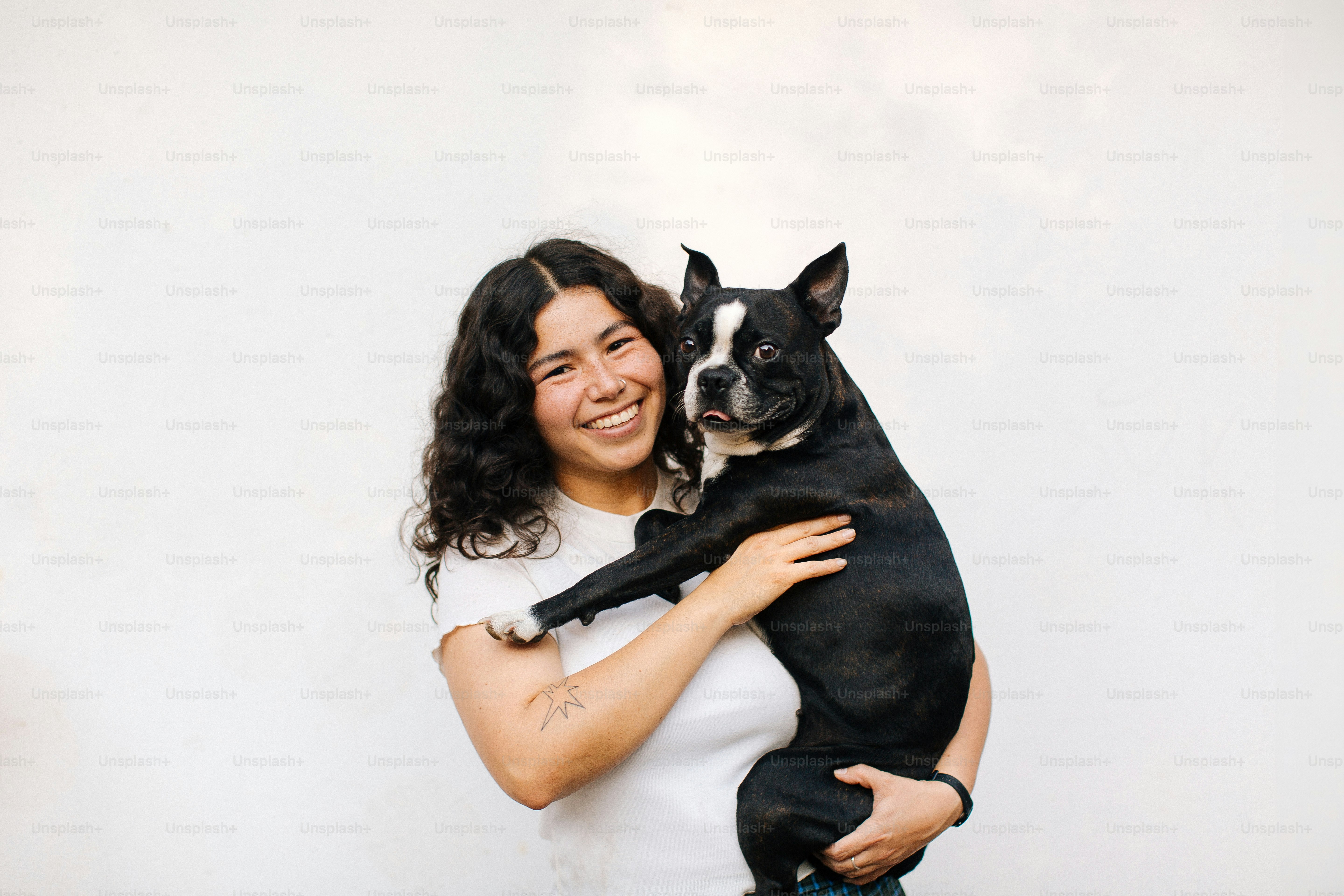 Imágenes de Terrier De Boston | Descarga imágenes gratuitas en Unsplash, image size:3000x2000