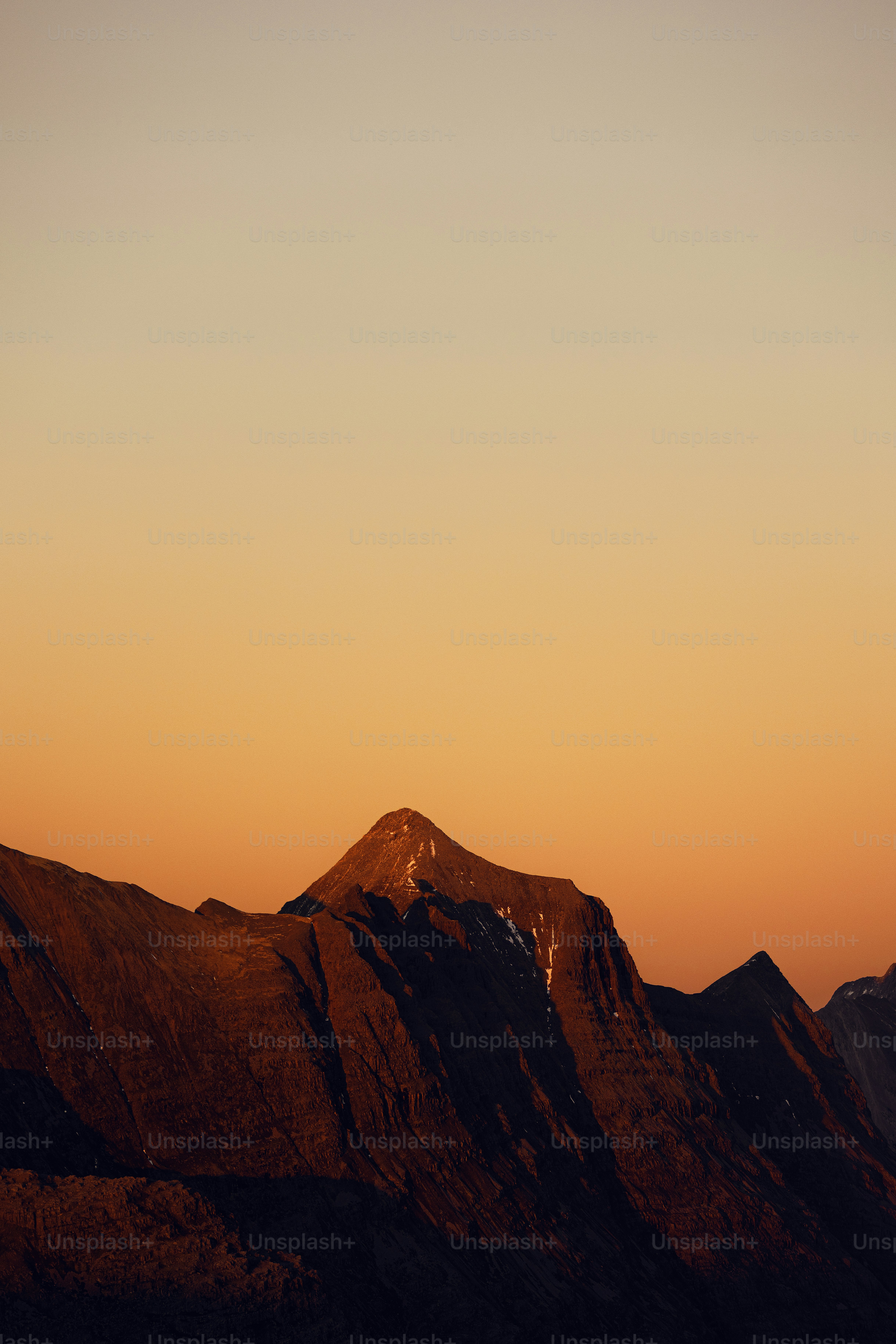 Un oiseau survolant une montagne au coucher du soleil