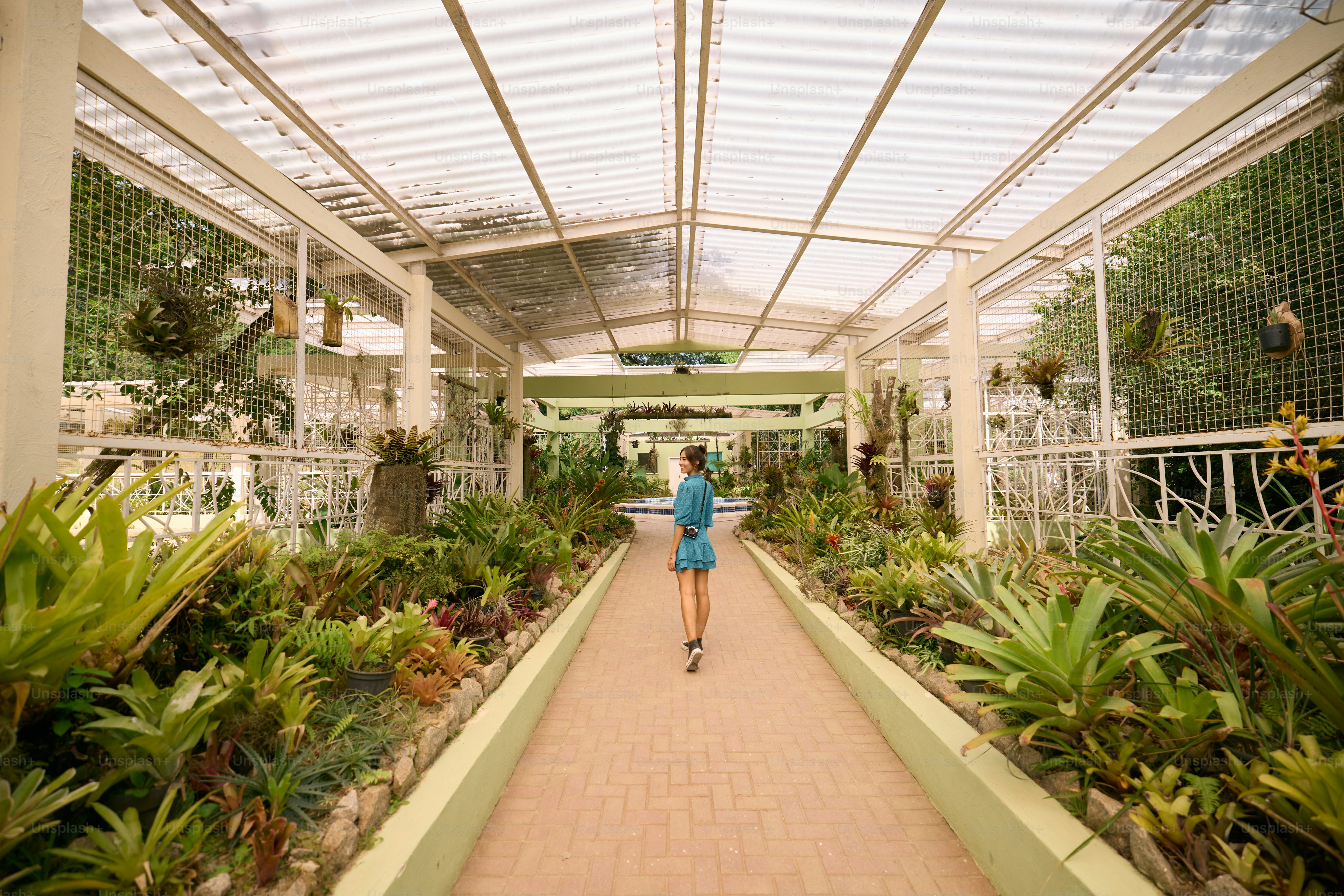 A woman walking down a walkway in a greenhouse