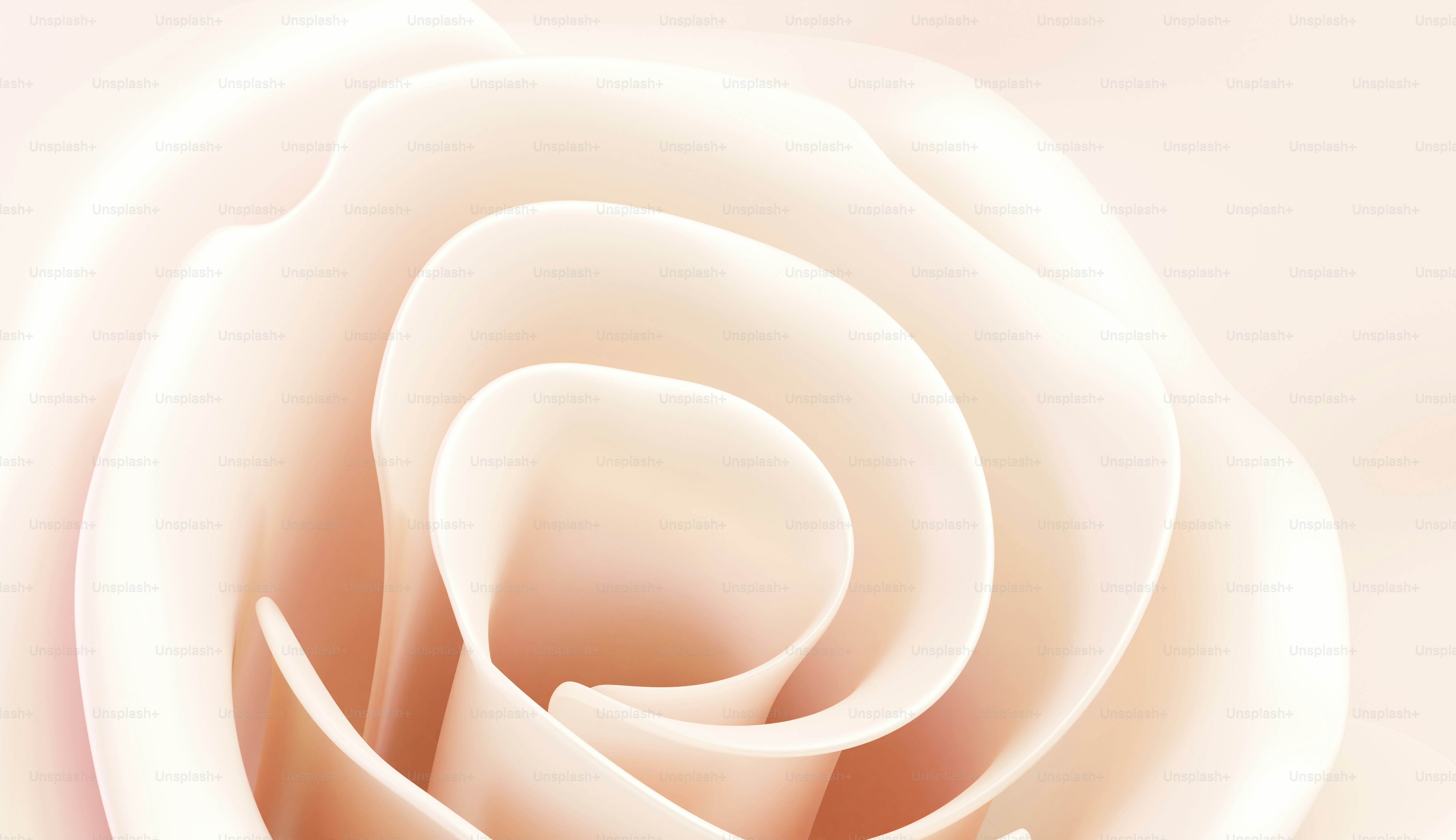 A close up of a white flower on a pink background photo – 3d render ...