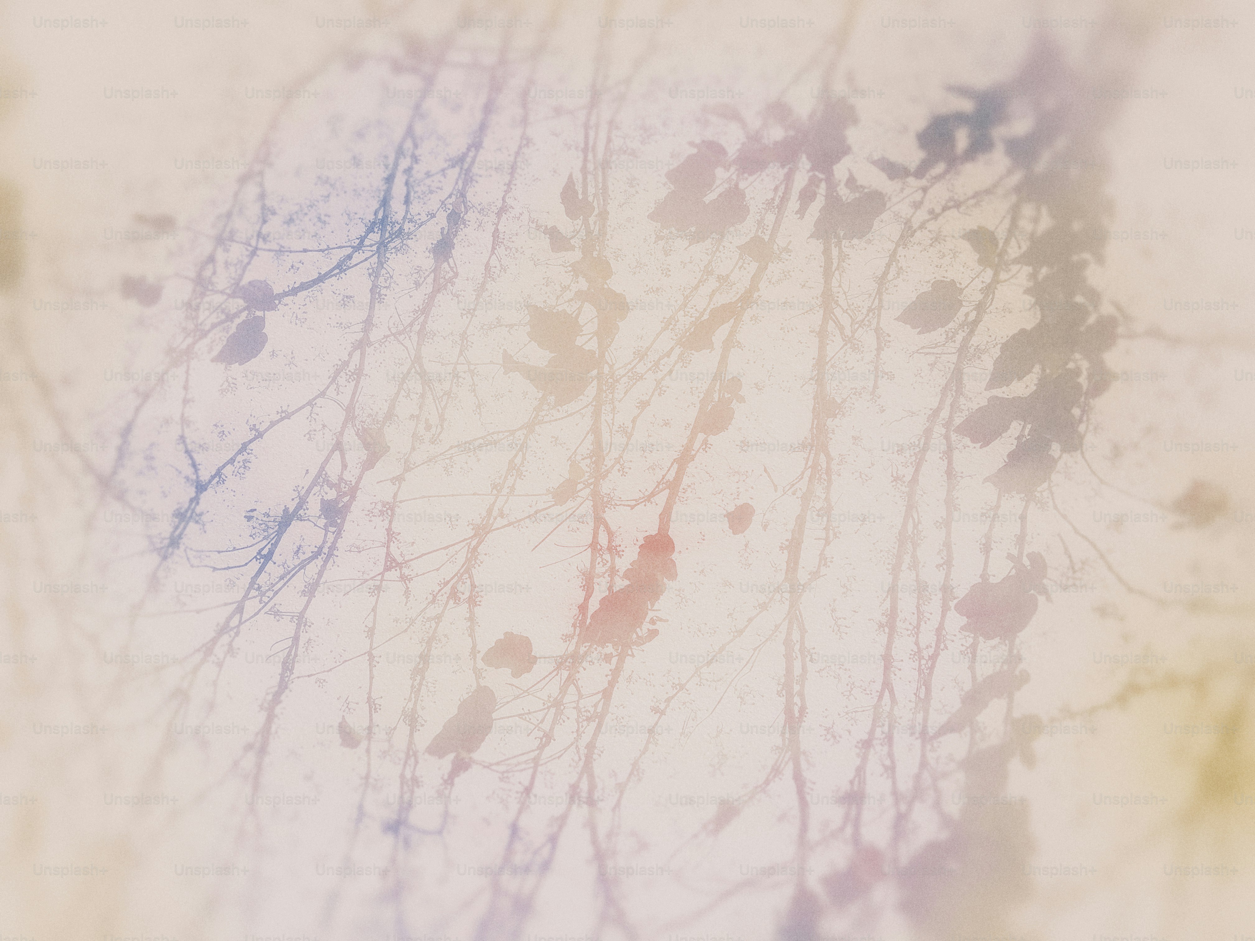 A blurry picture of leaves and branches on a white background