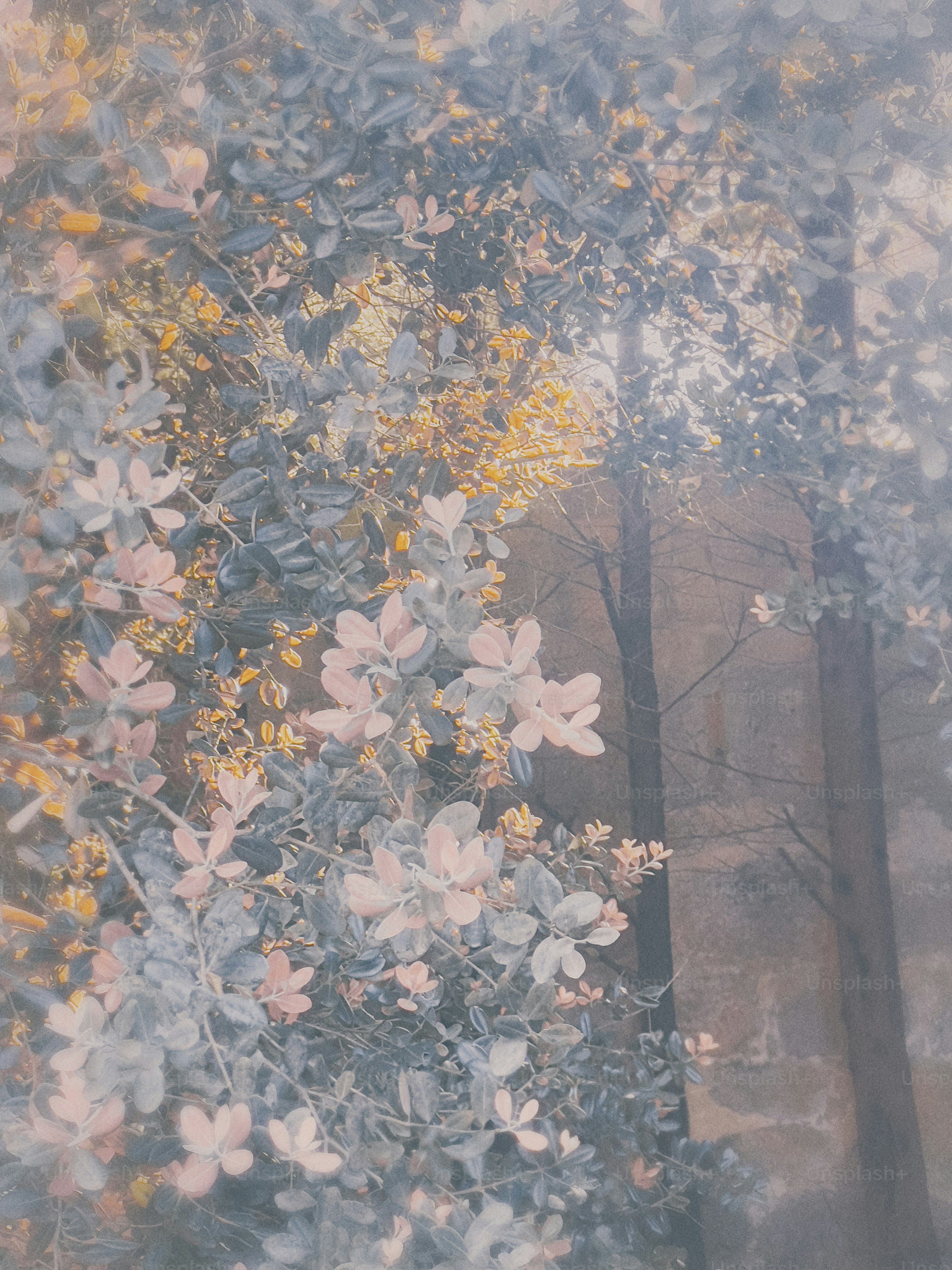 Ein Gemälde von Bäumen und Blumen in einem Wald