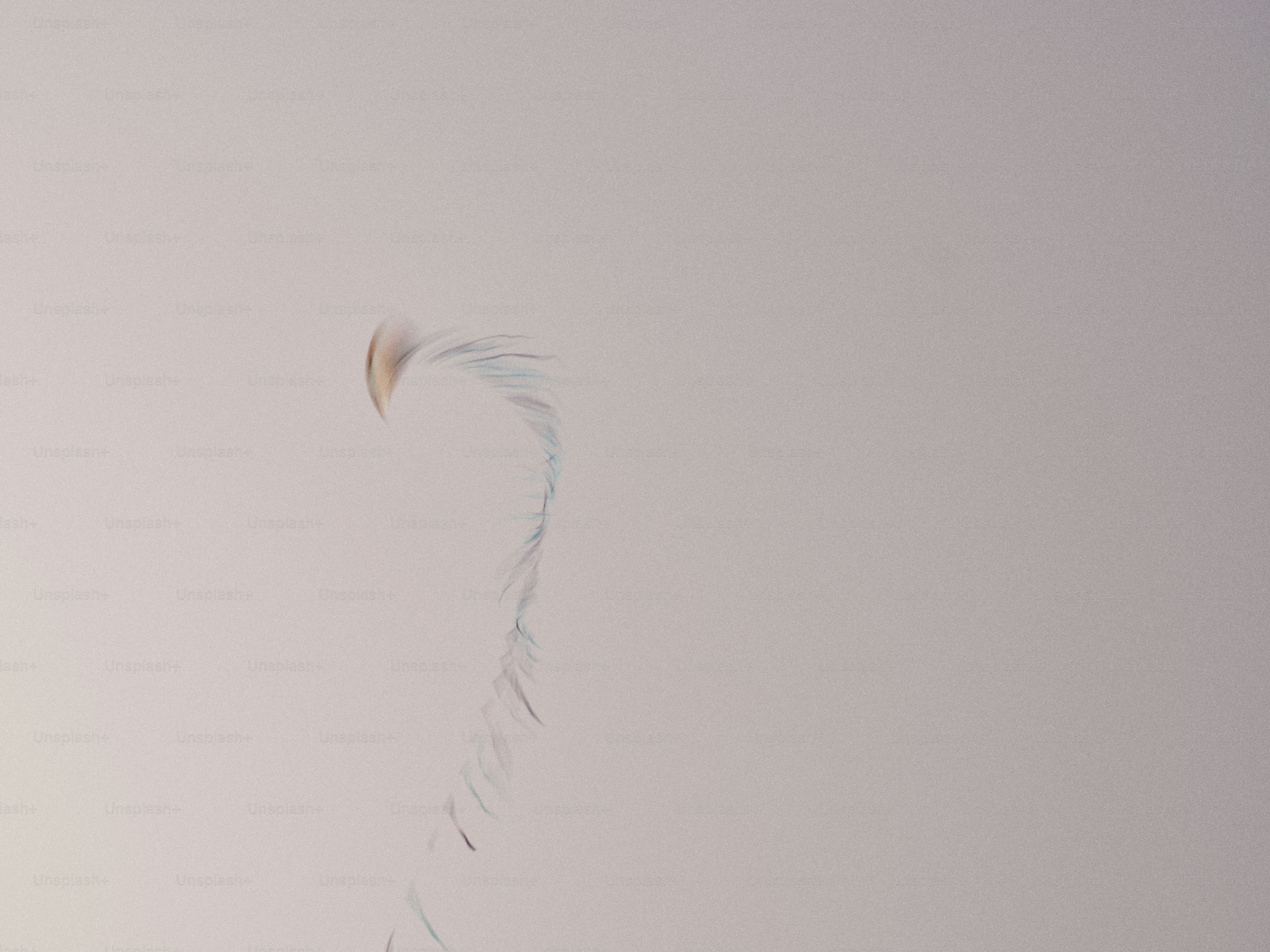 A kite is flying high in the sky