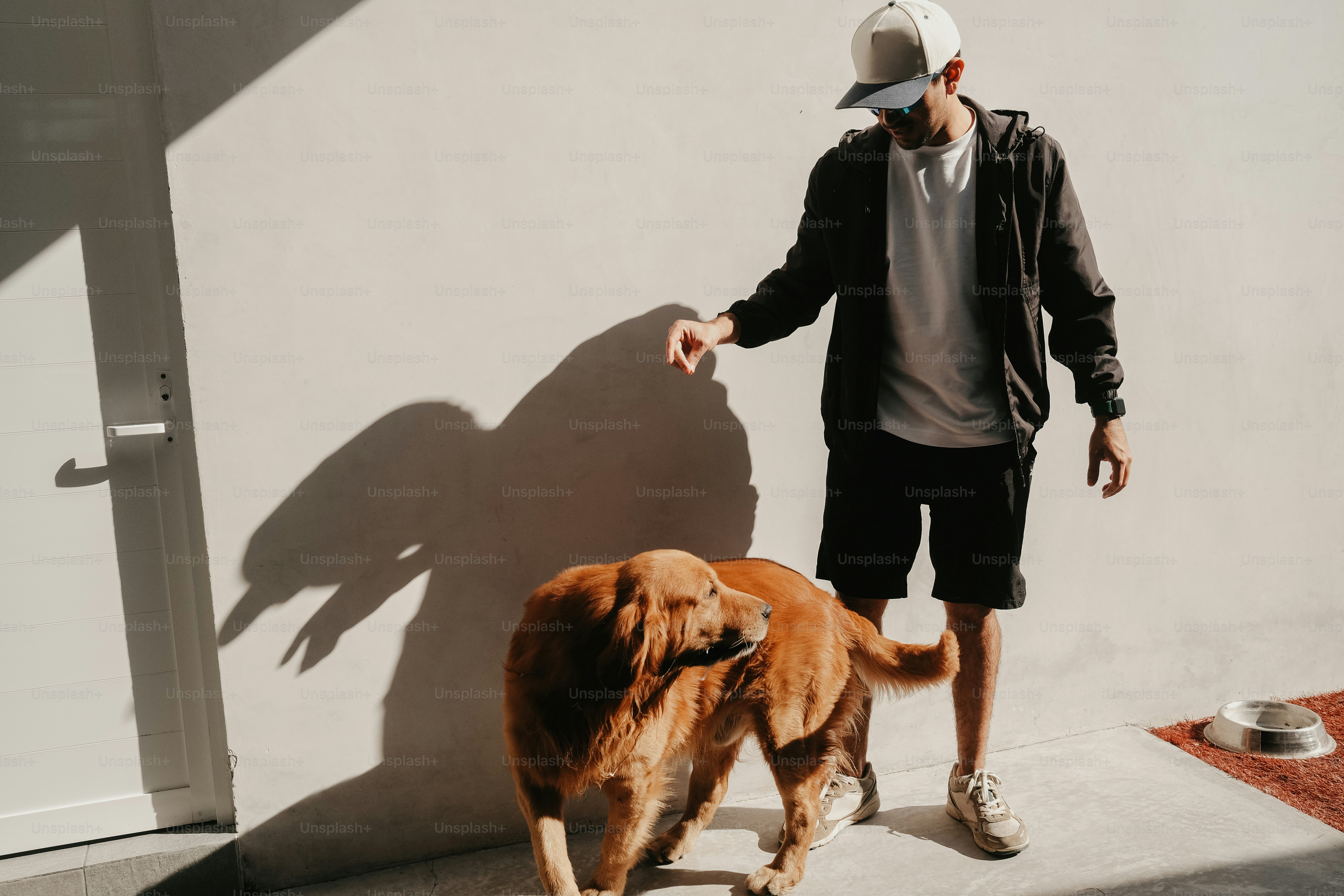 A man sitting on a bench with his dog photo – Dog Image on Unsplash