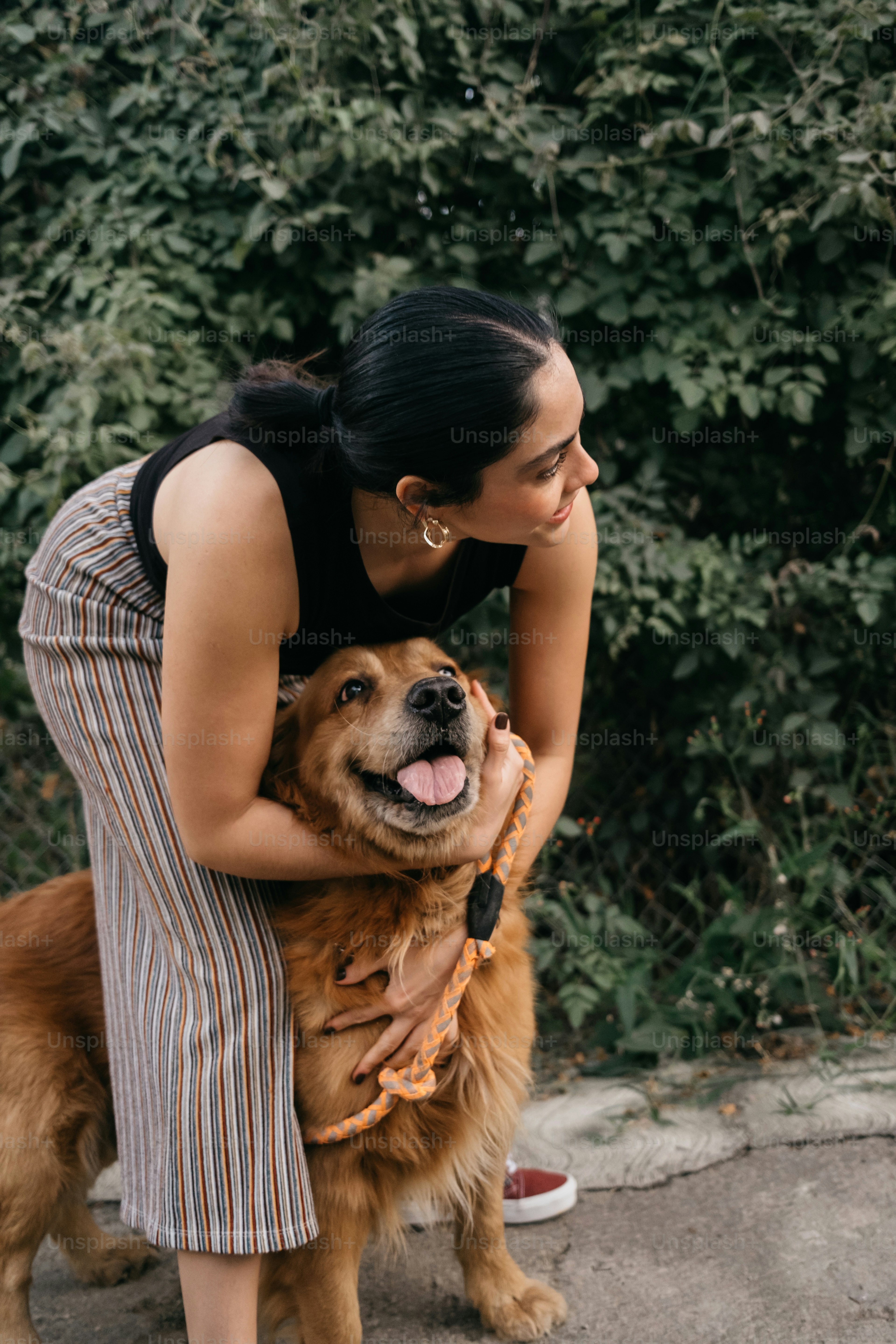 A woman kneeling down next to a brown dog photo – Dog Image on Unsplash