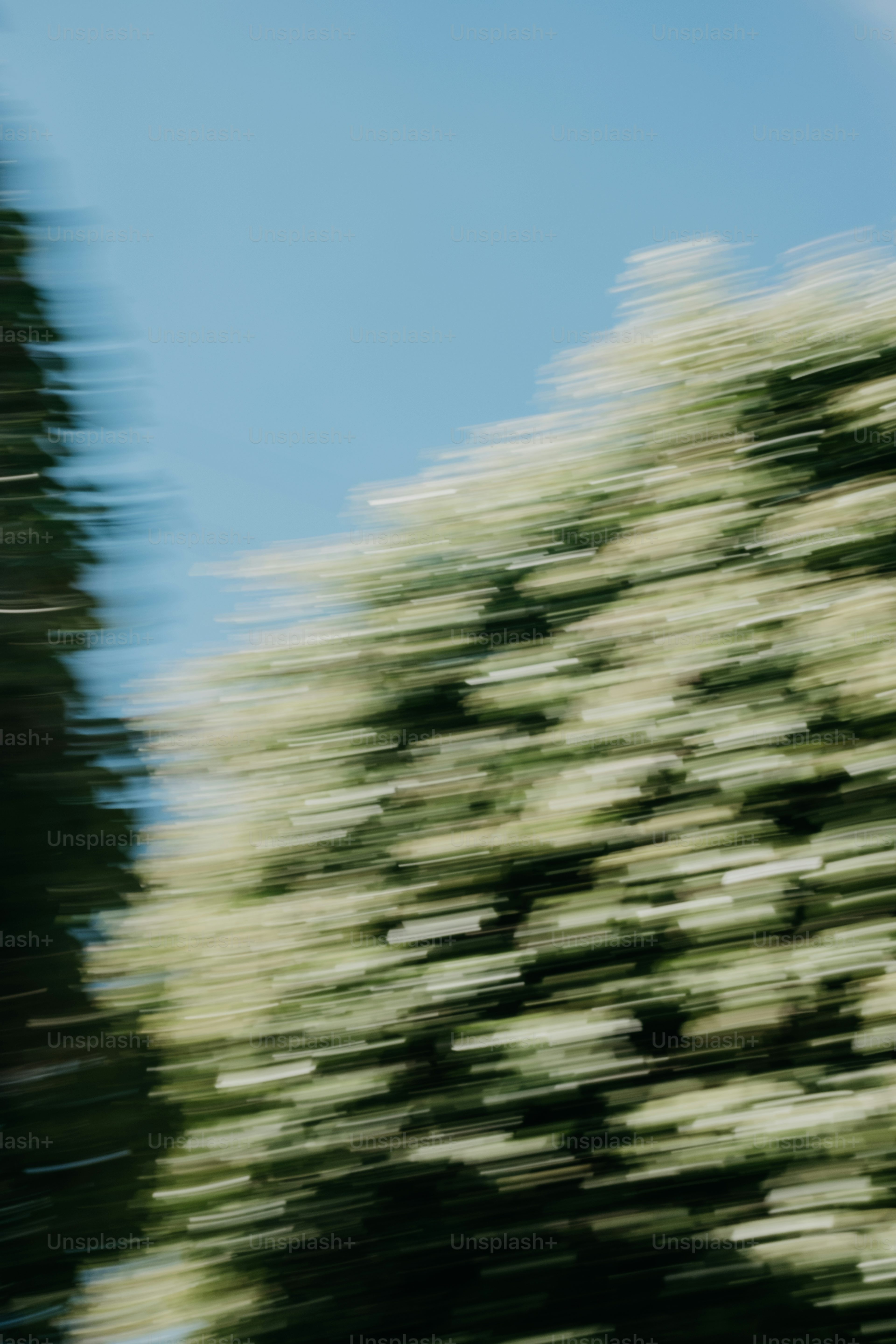 People category with portraits and lifestyle photos