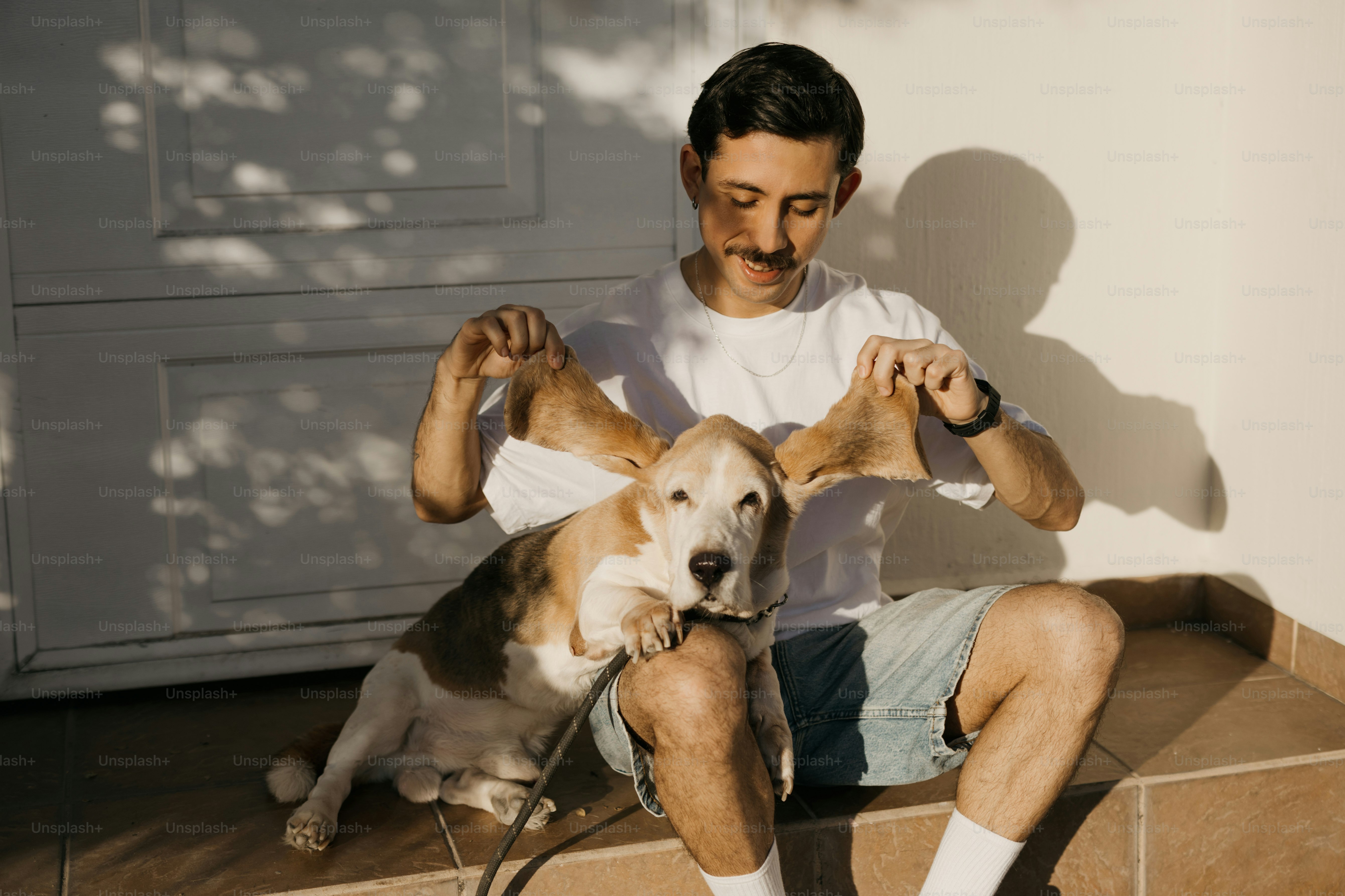 A man sitting on the floor with a dog photo – Dog Image on Unsplash