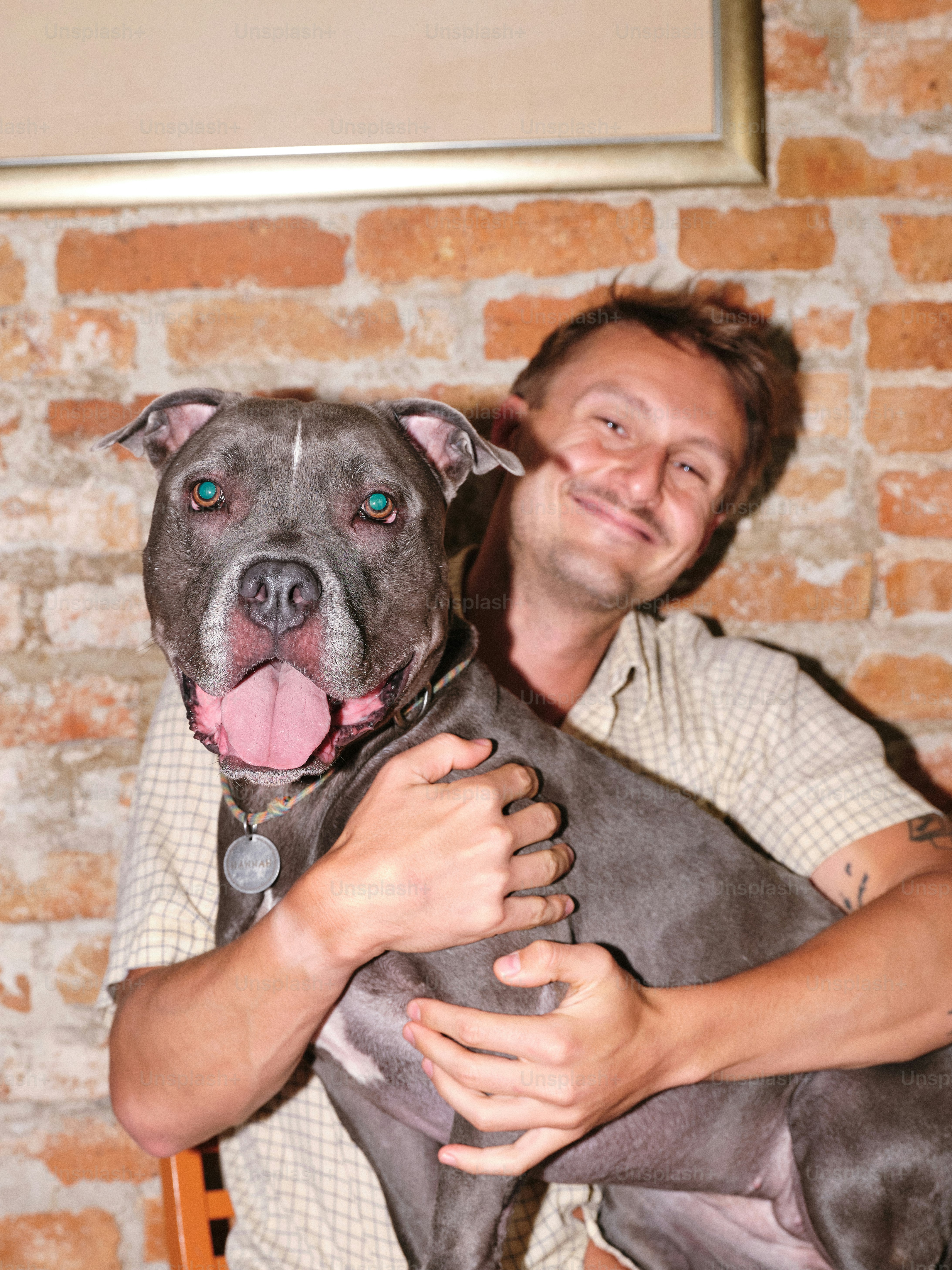 A man holding a dog in front of a brick wall