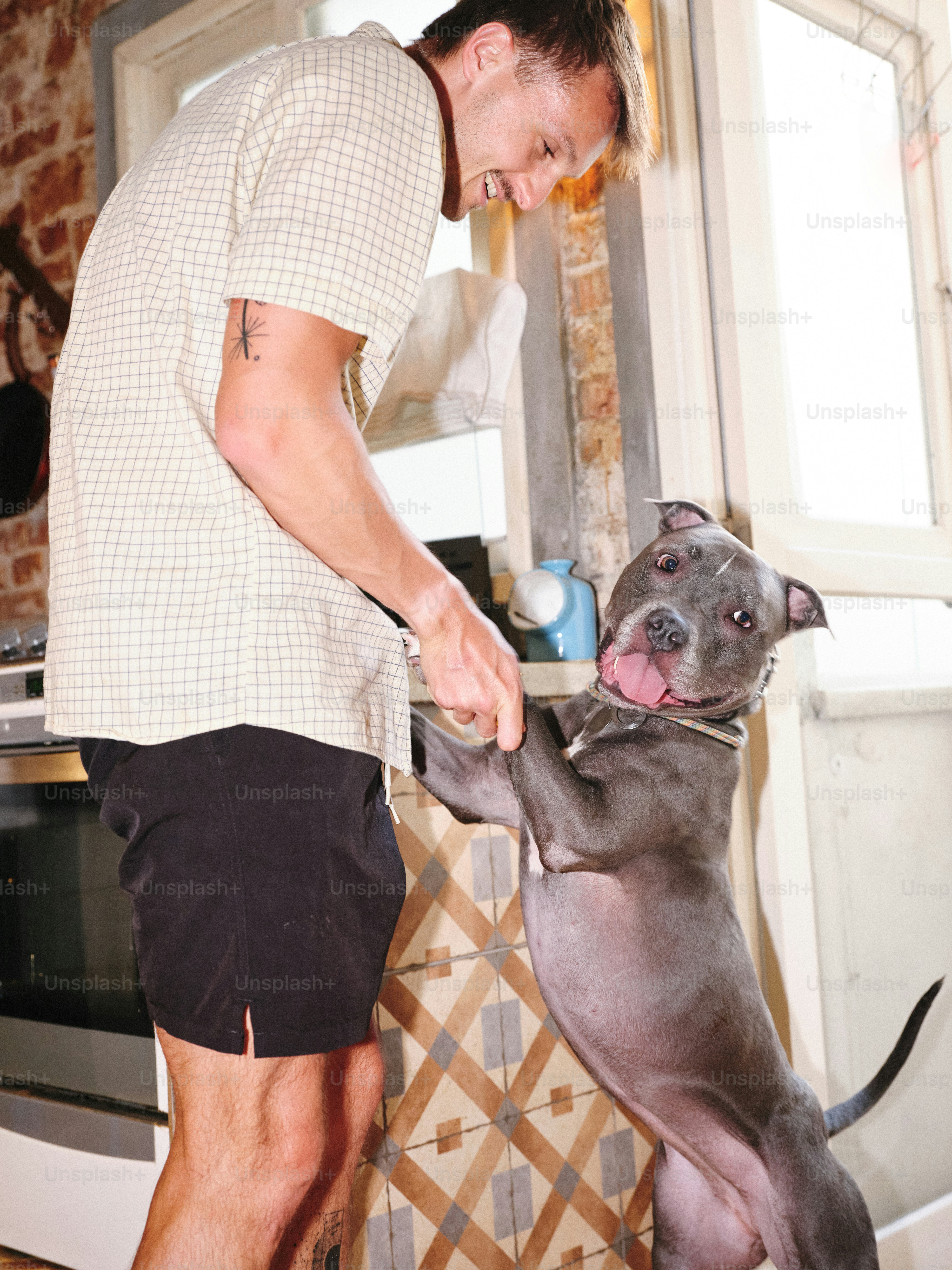 Ein Mann spielt mit einem Hund in einer Küche