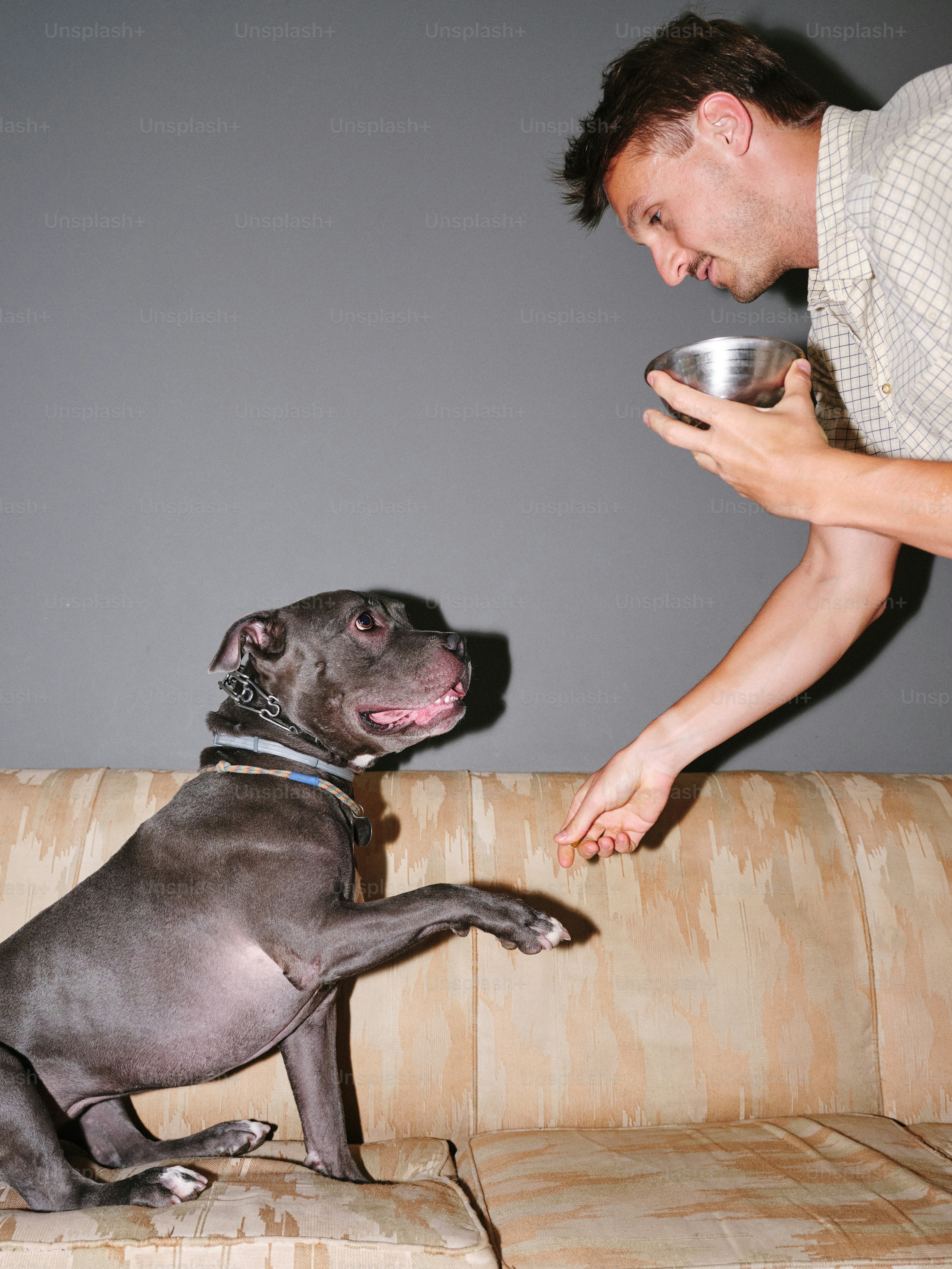 A man feeding a dog a bowl on a couch