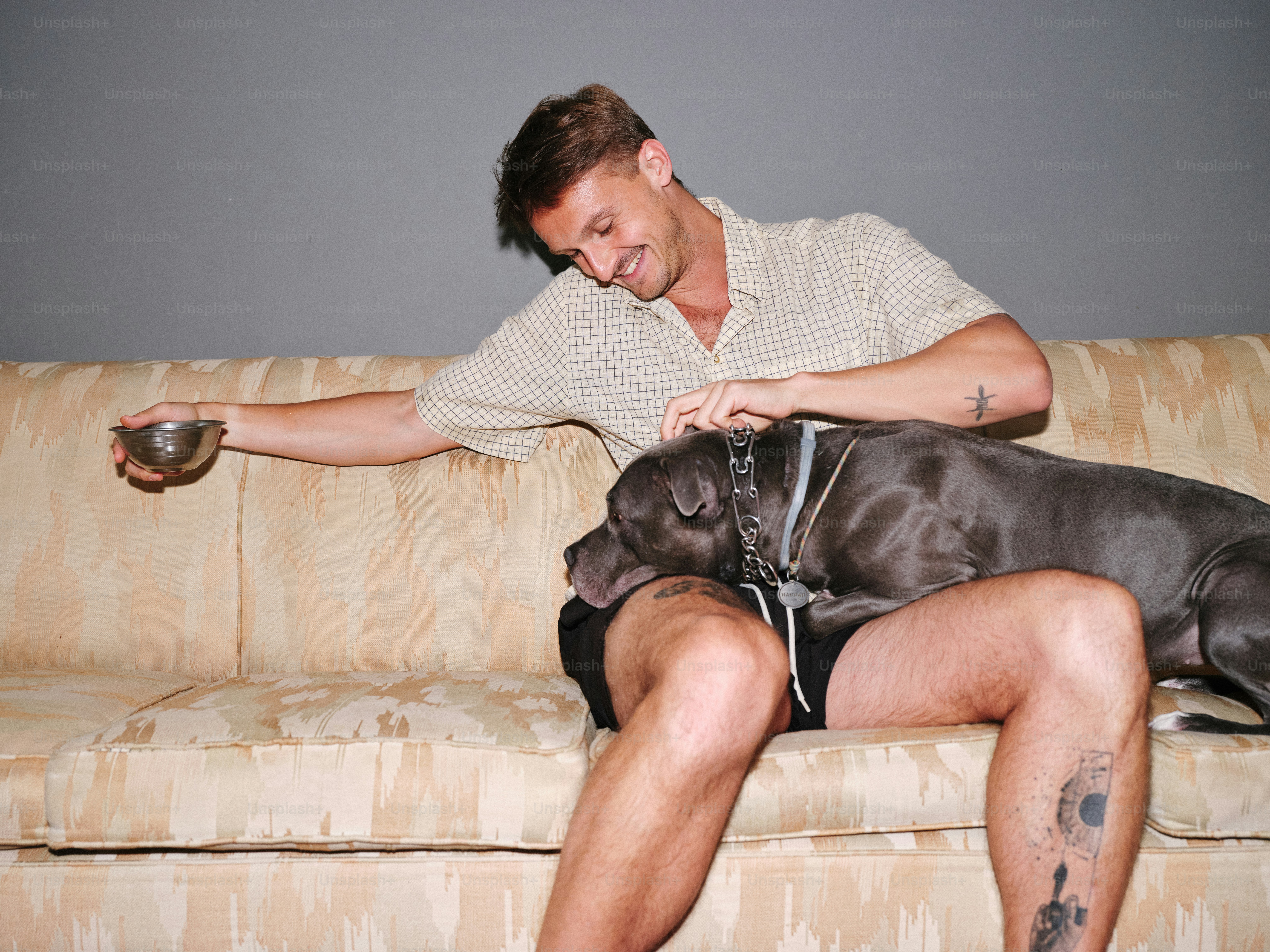 A man sitting on a couch with a dog photo – Dog Image on Unsplash