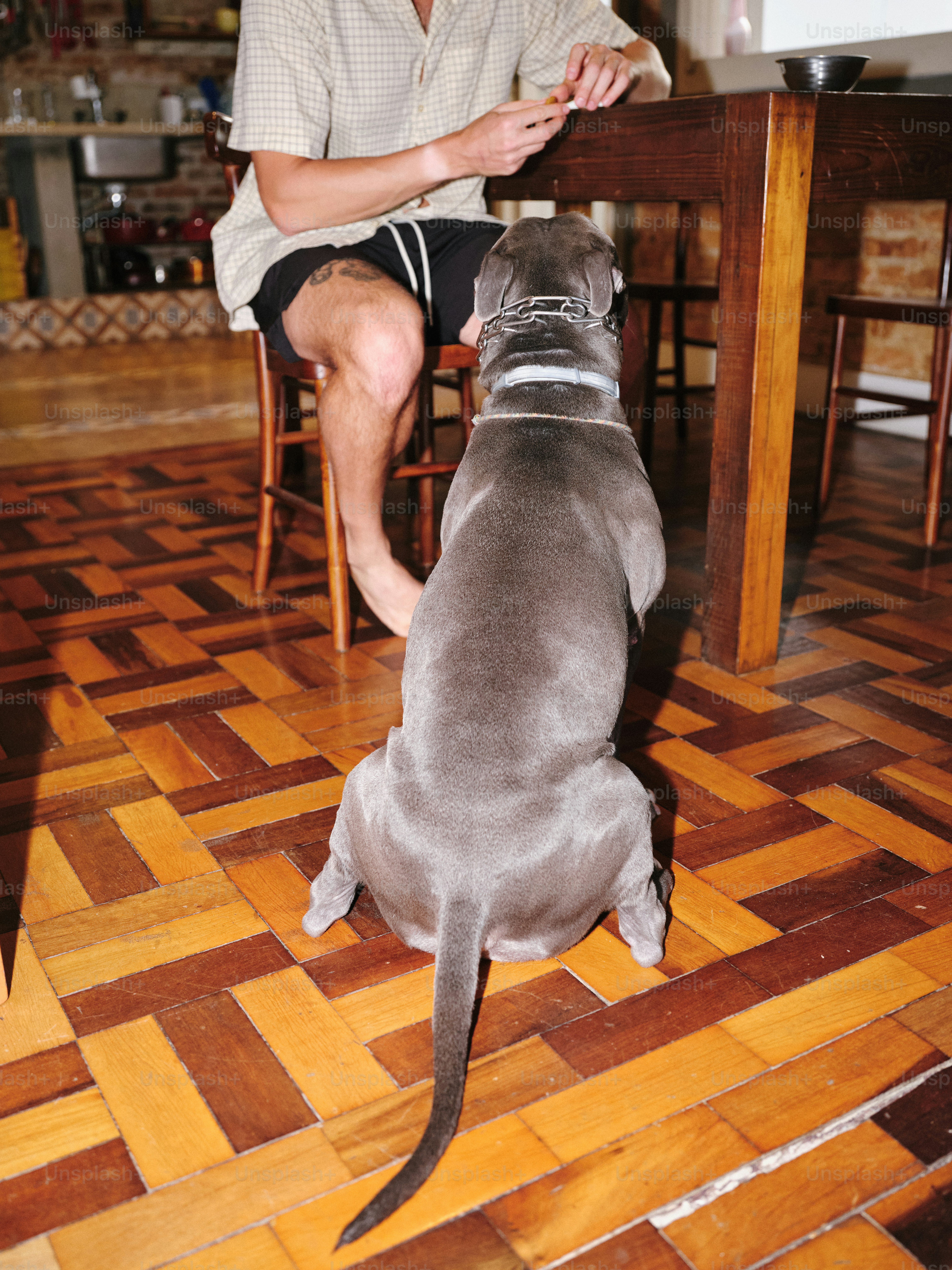 Un uomo seduto a un tavolo con un cane