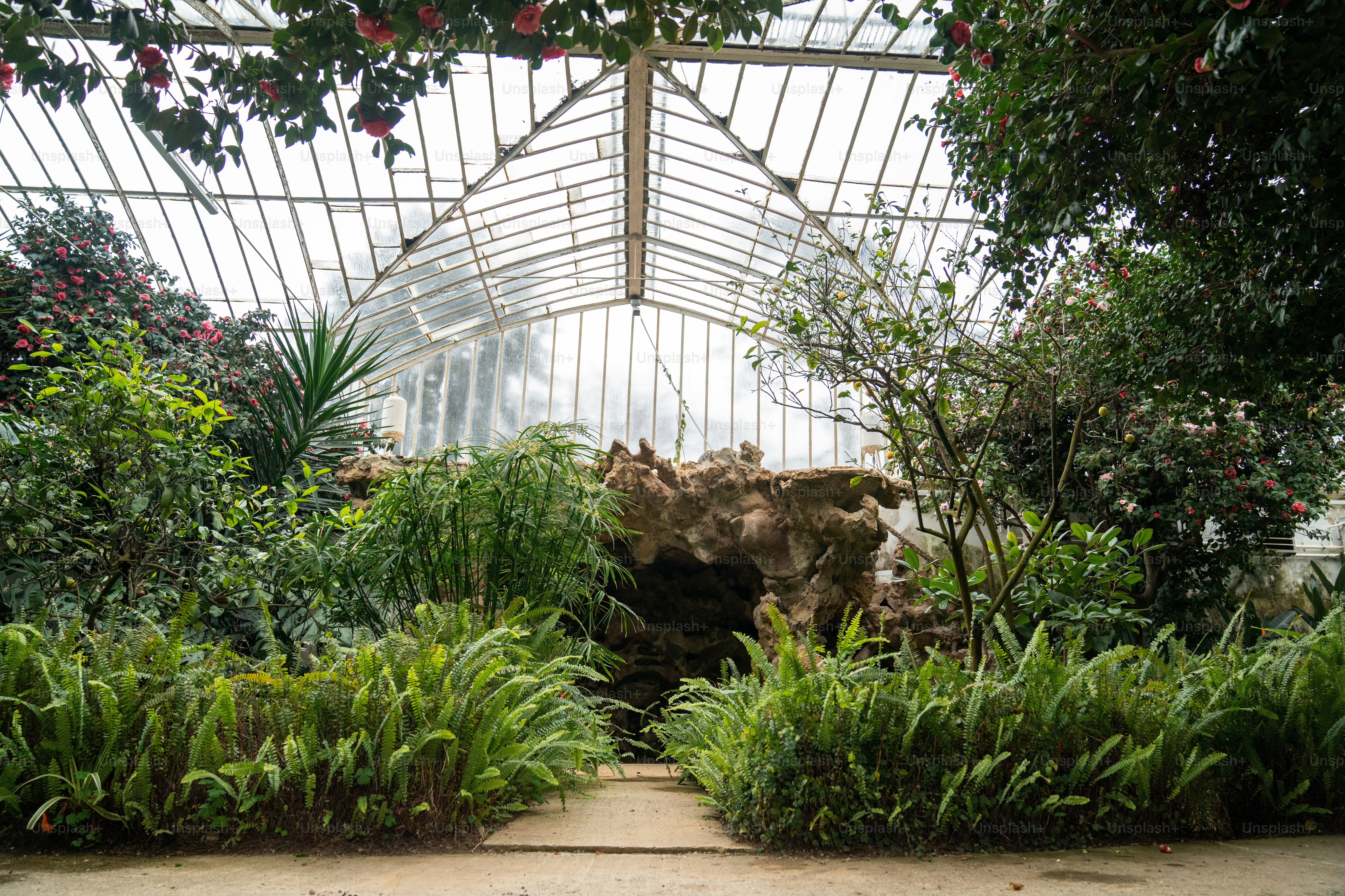 Blick ins Innere eines Glashauses