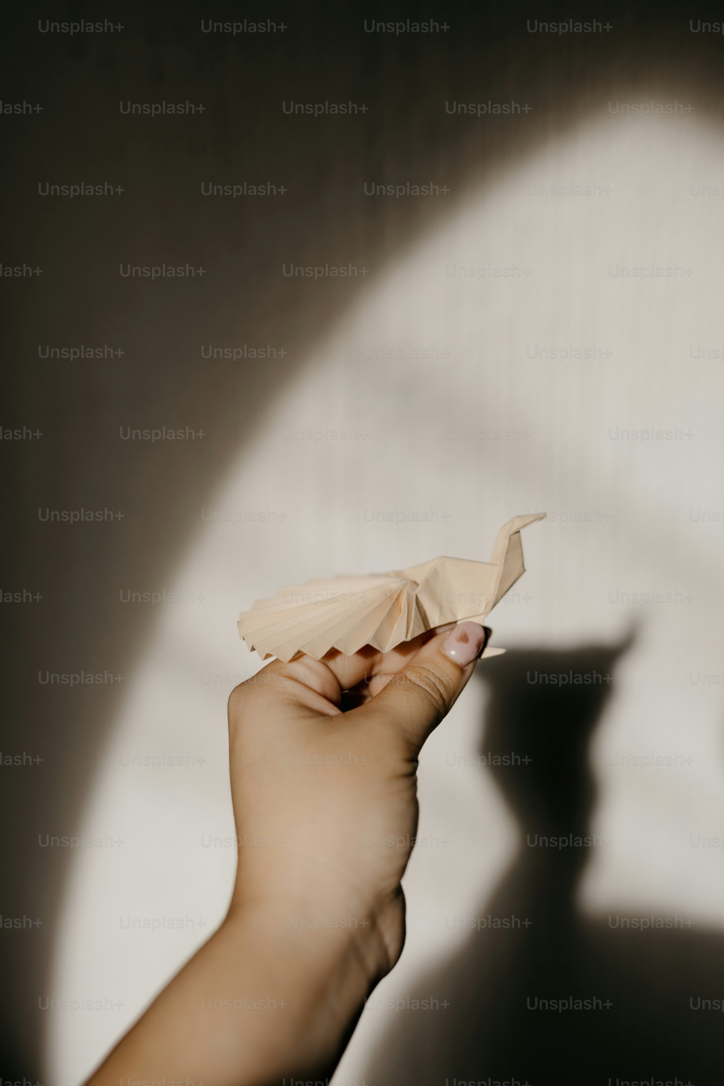 A shadow of a hand holding a paper bird