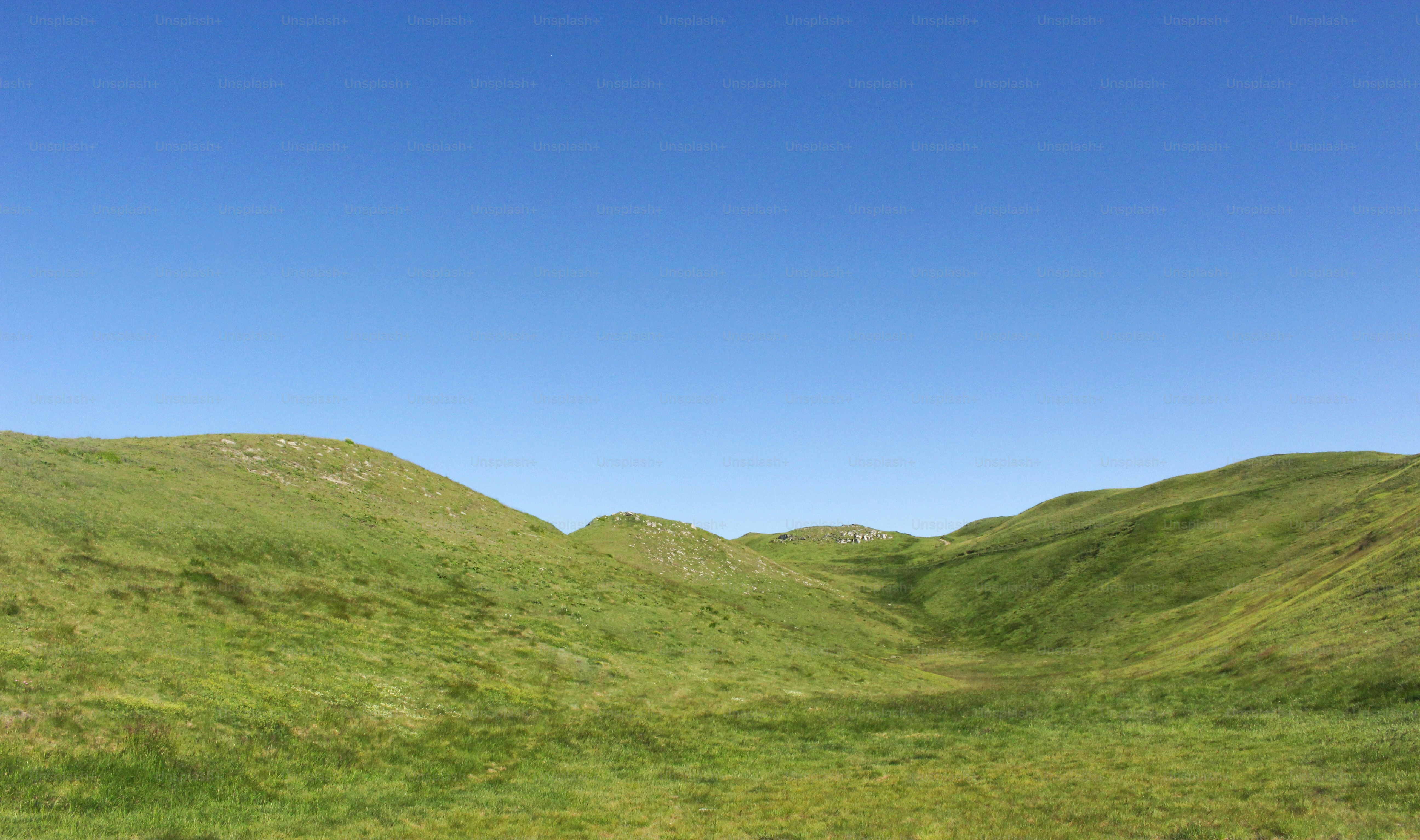 Ein grasbewachsener Hügel mit blauem Himmel im Hintergrund