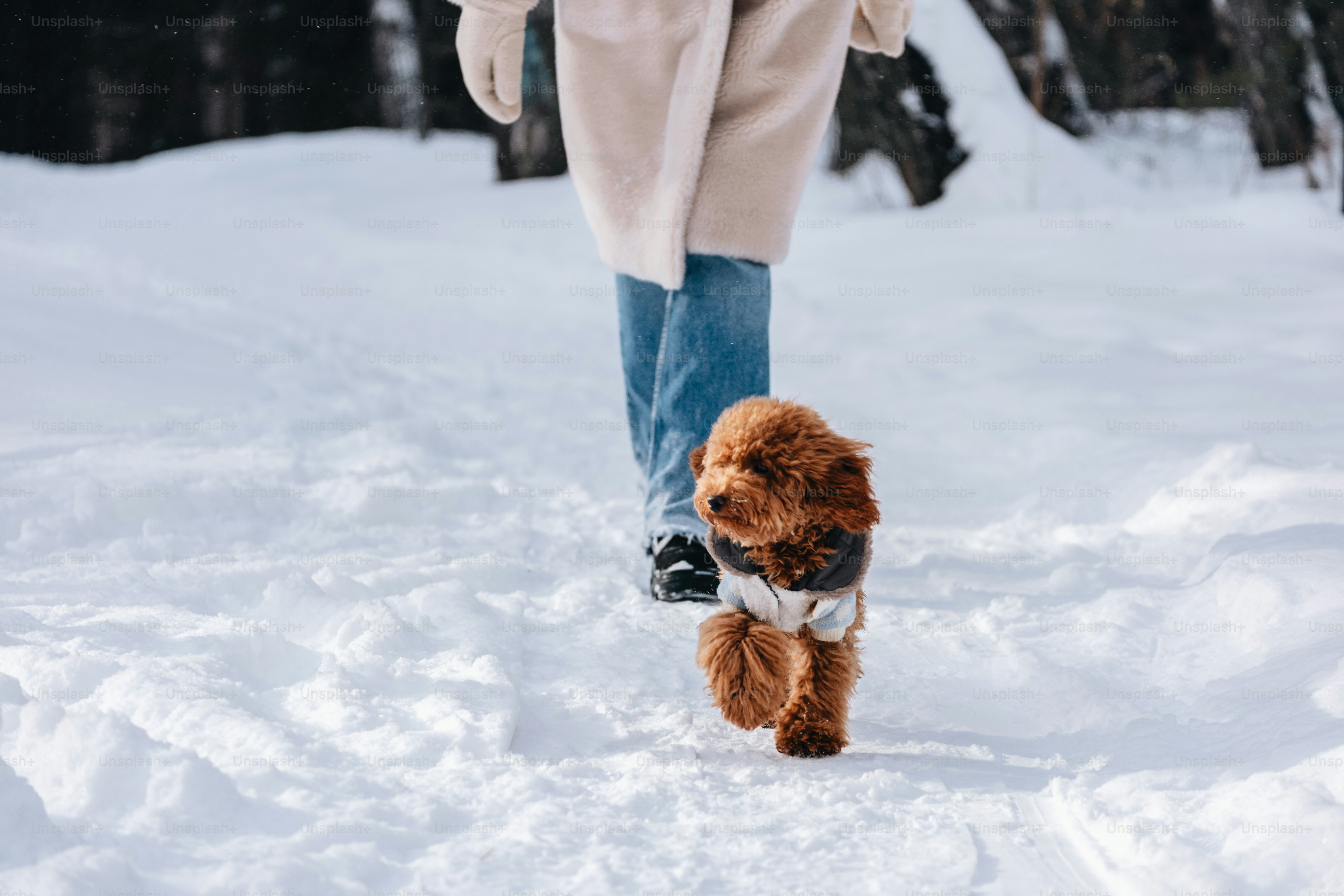 A person walking in the snow with a teddy bear