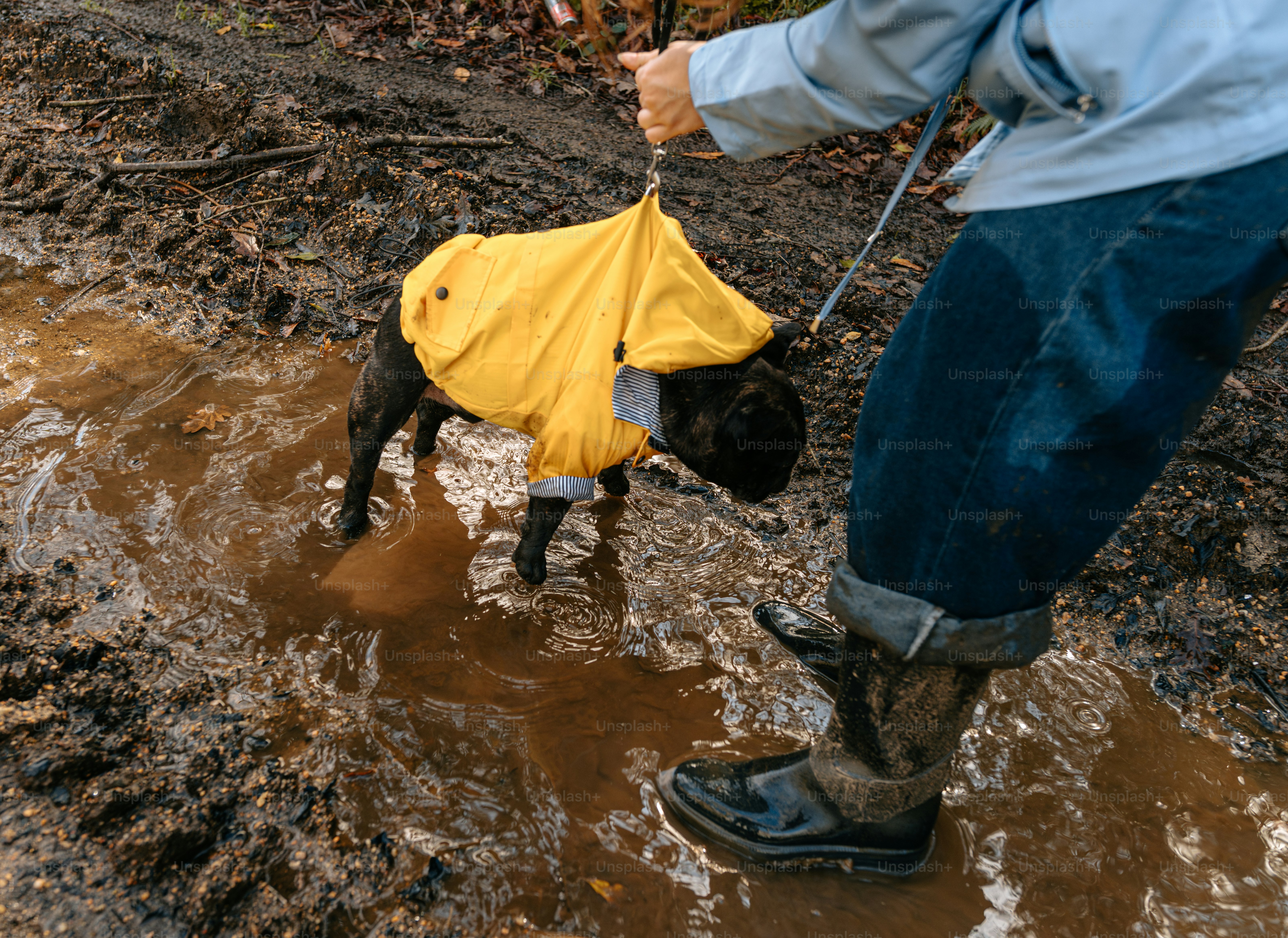 A dog wearing a yellow rain coat in the mud