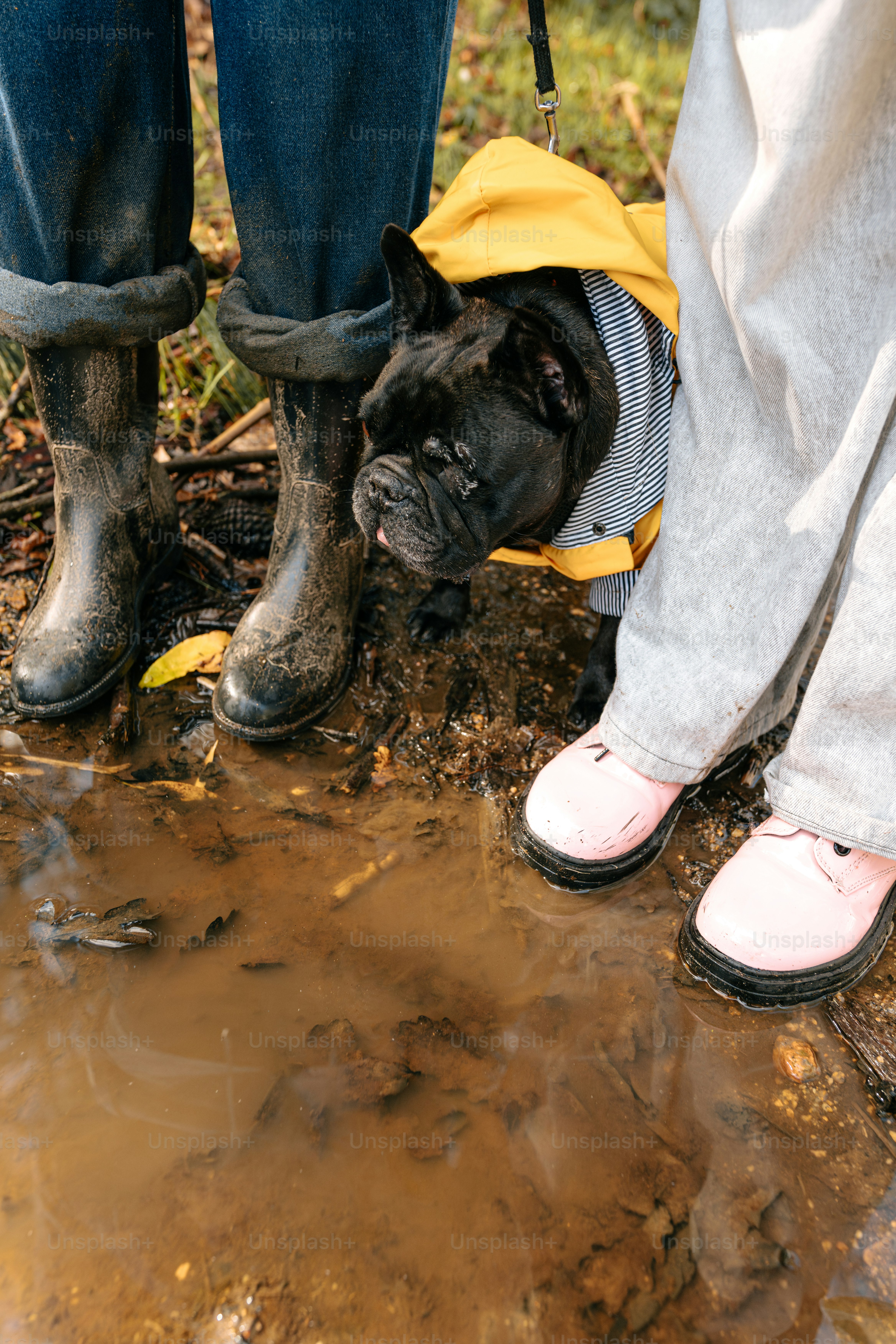 A couple of people standing next to a dog photo – Rain Image on Unsplash