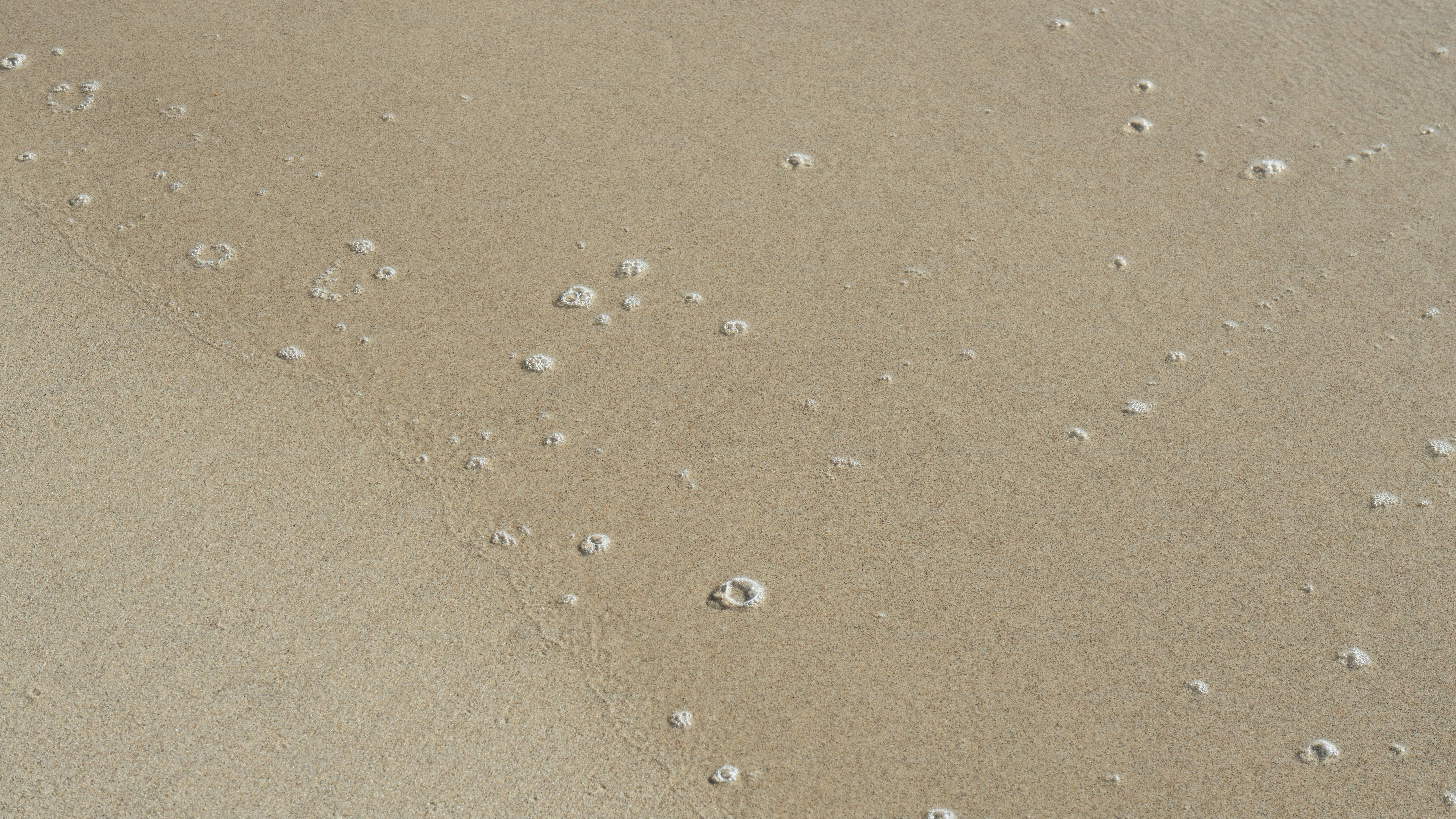 A sandy beach covered in small drops of water