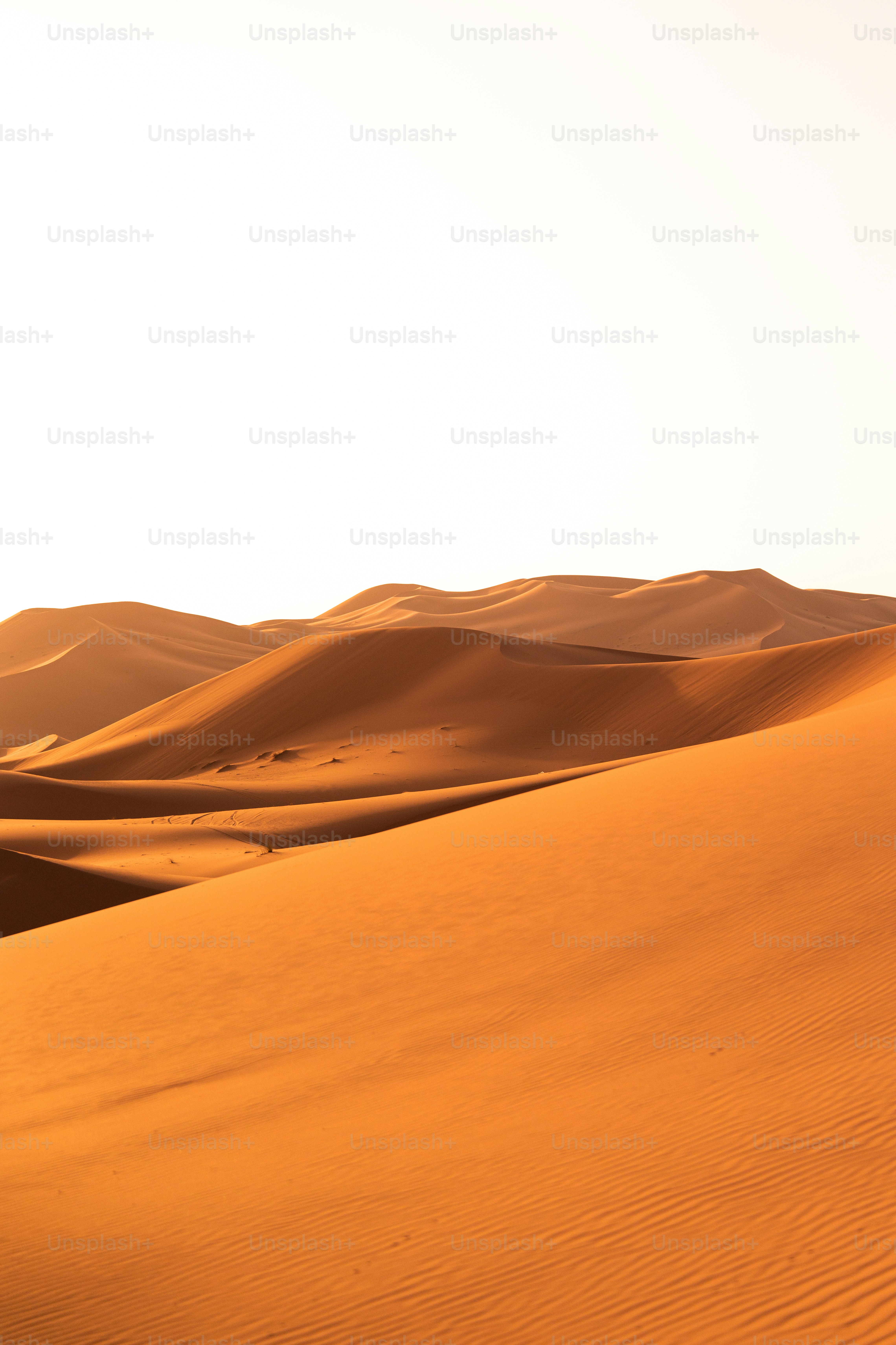 A person riding a horse through a desert