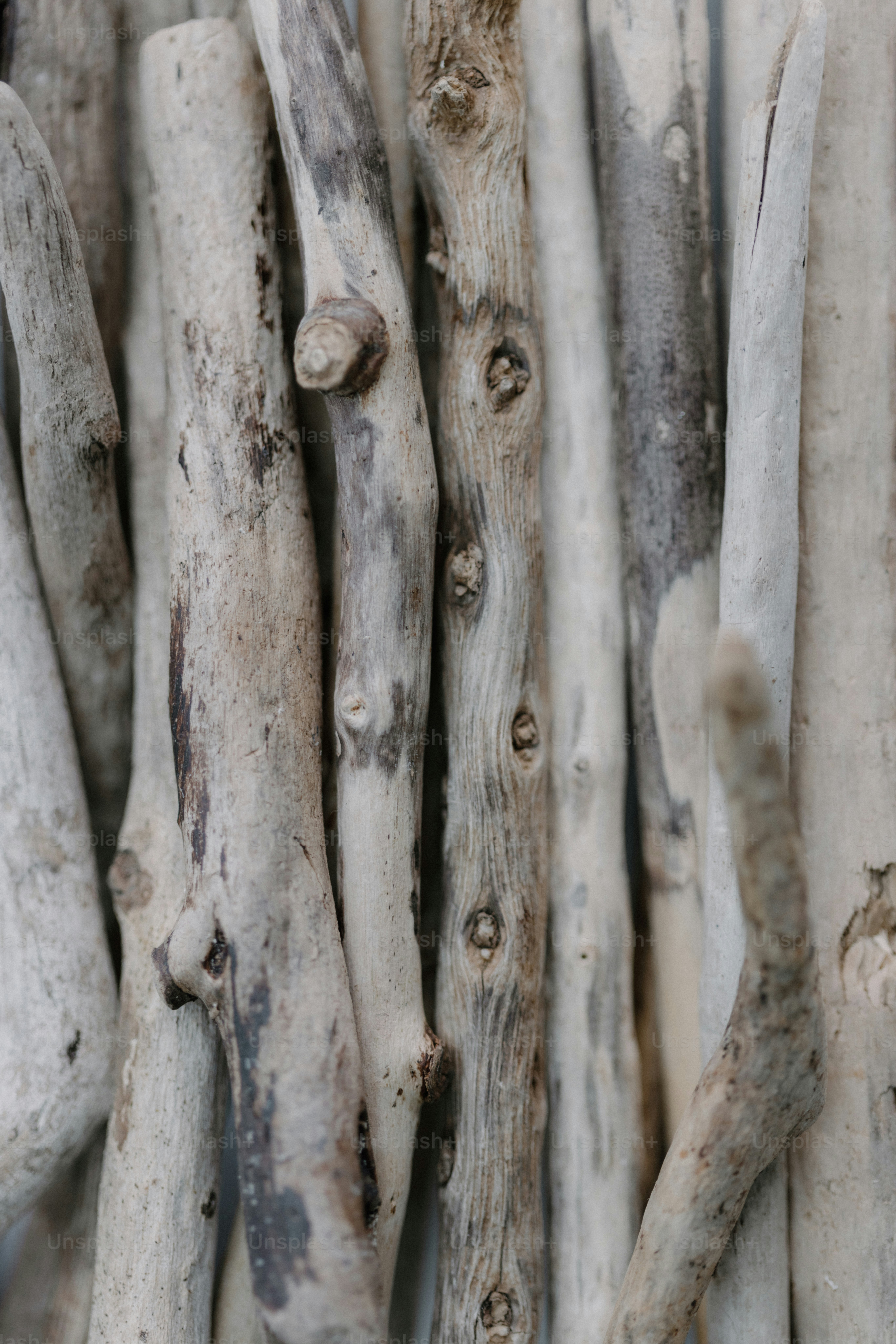 A bunch of sticks that are next to each other