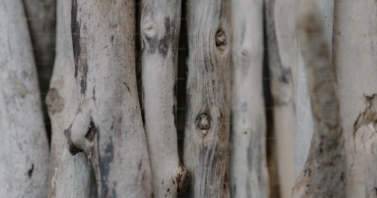 Multiple Sticks A bunch of sticks that are next to each other photo – Texture Image on ...