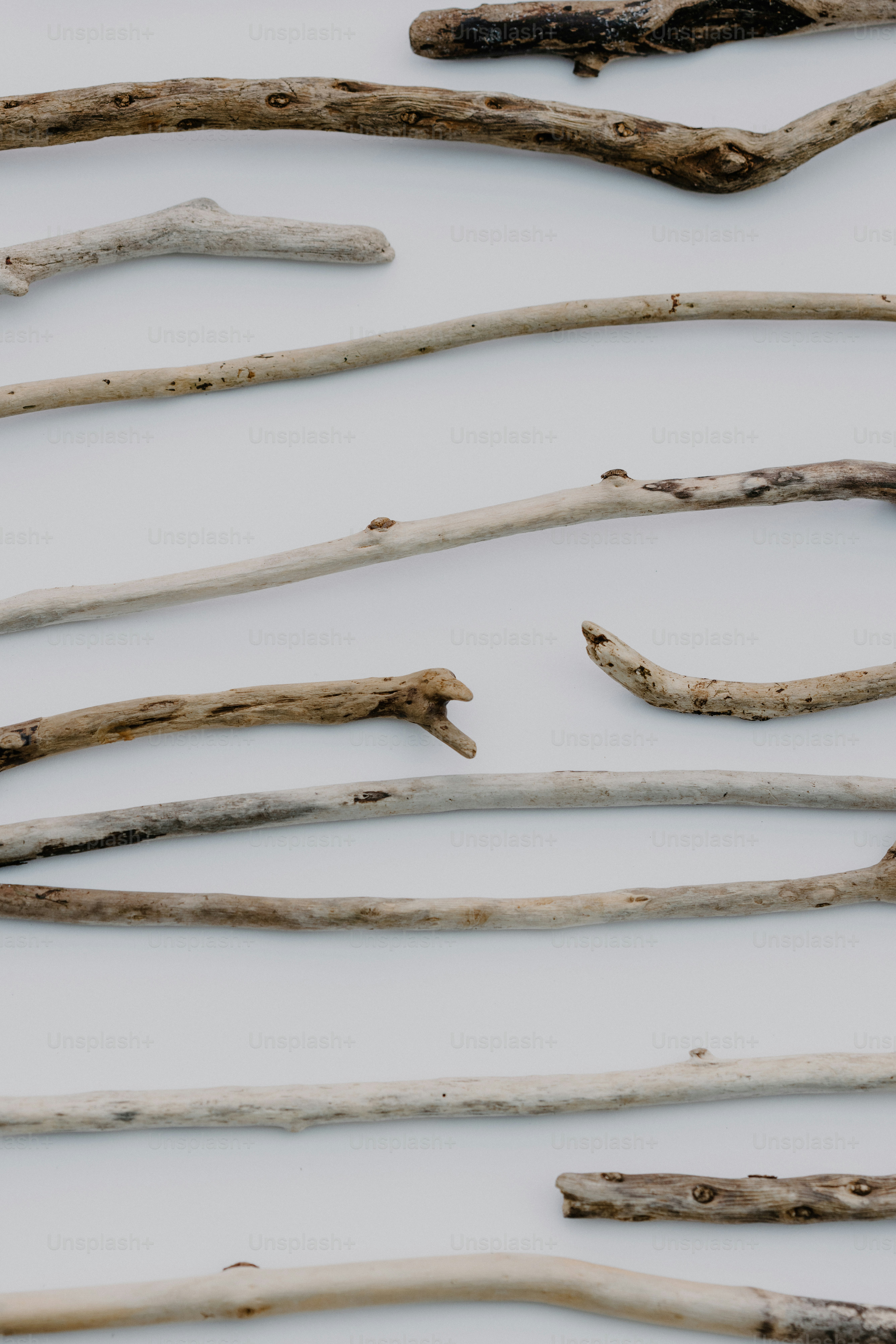 Un tas de branches posées sur une surface blanche