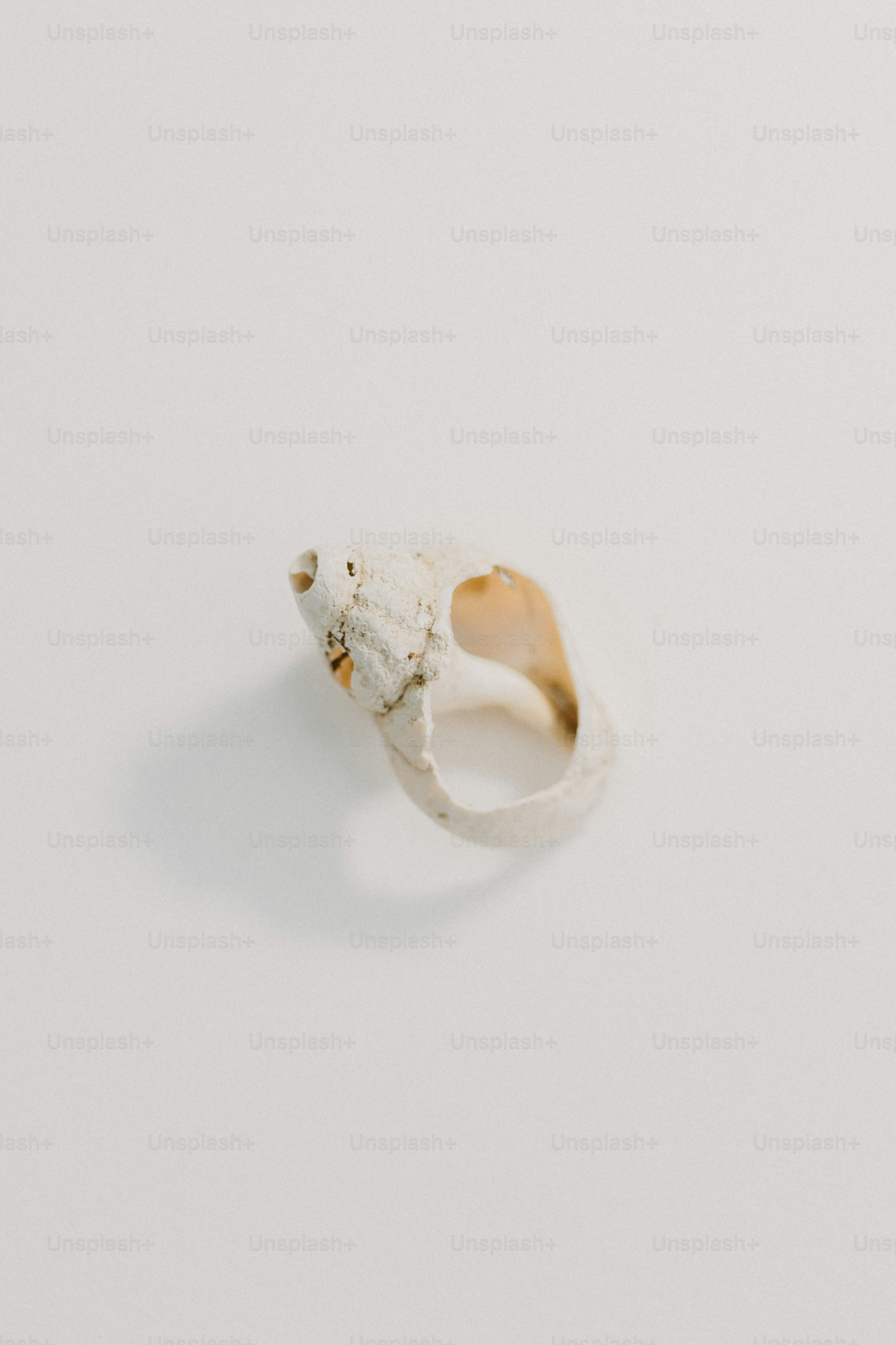 A white ring with a bear head on it