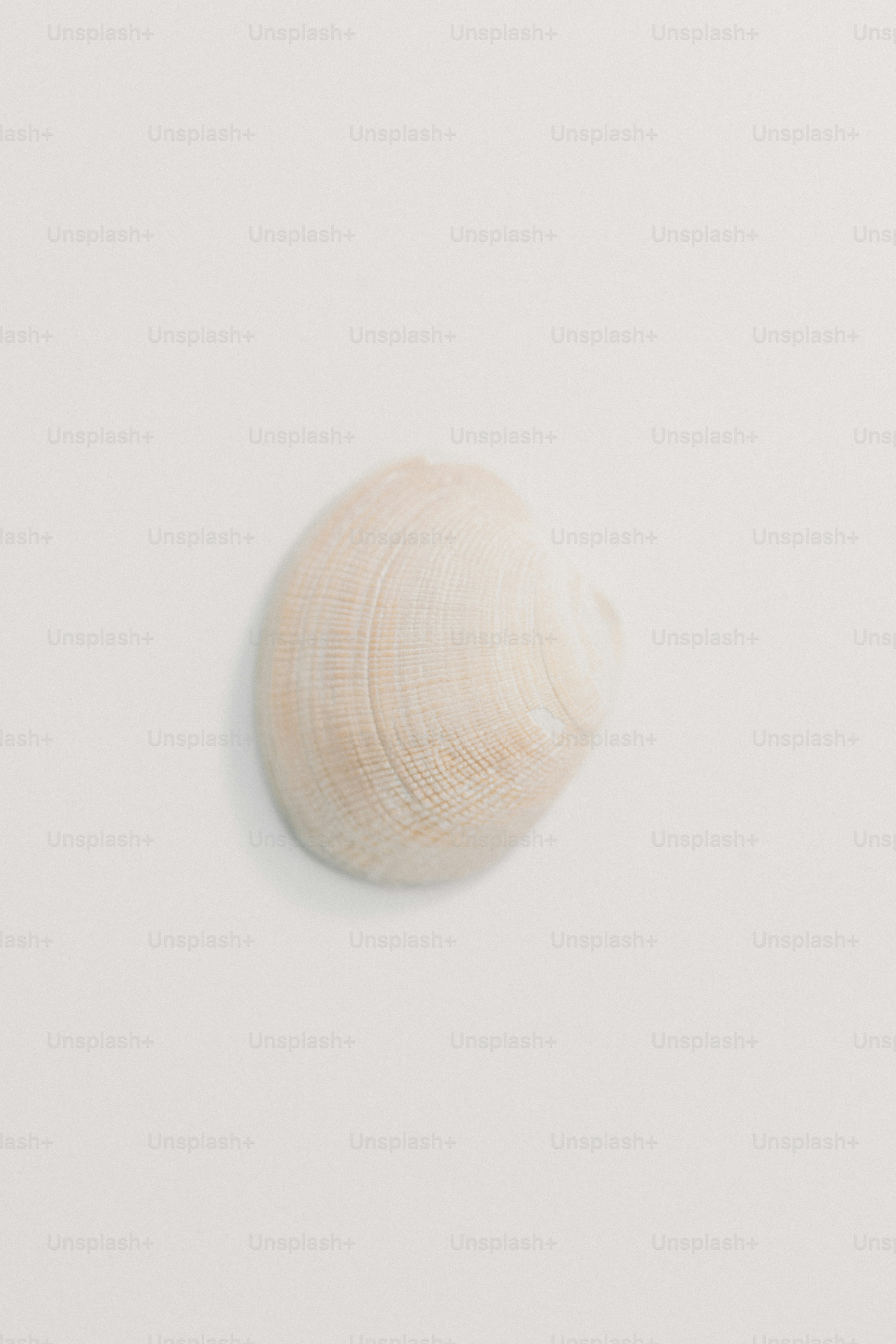 A white ball of yarn on a white surface