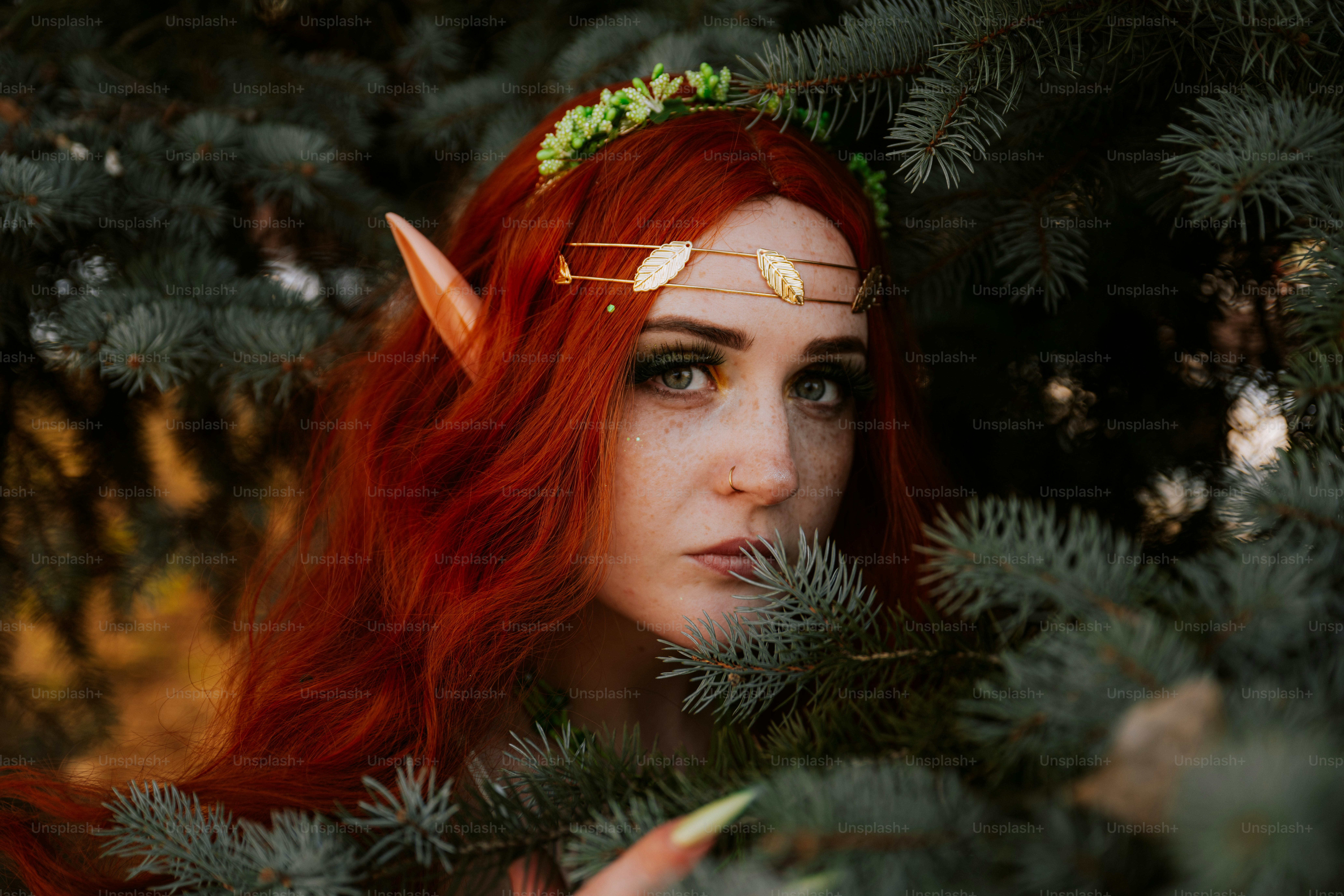 Imágenes de Elfos | Descarga imágenes gratuitas en Unsplash, image size:3000x2000