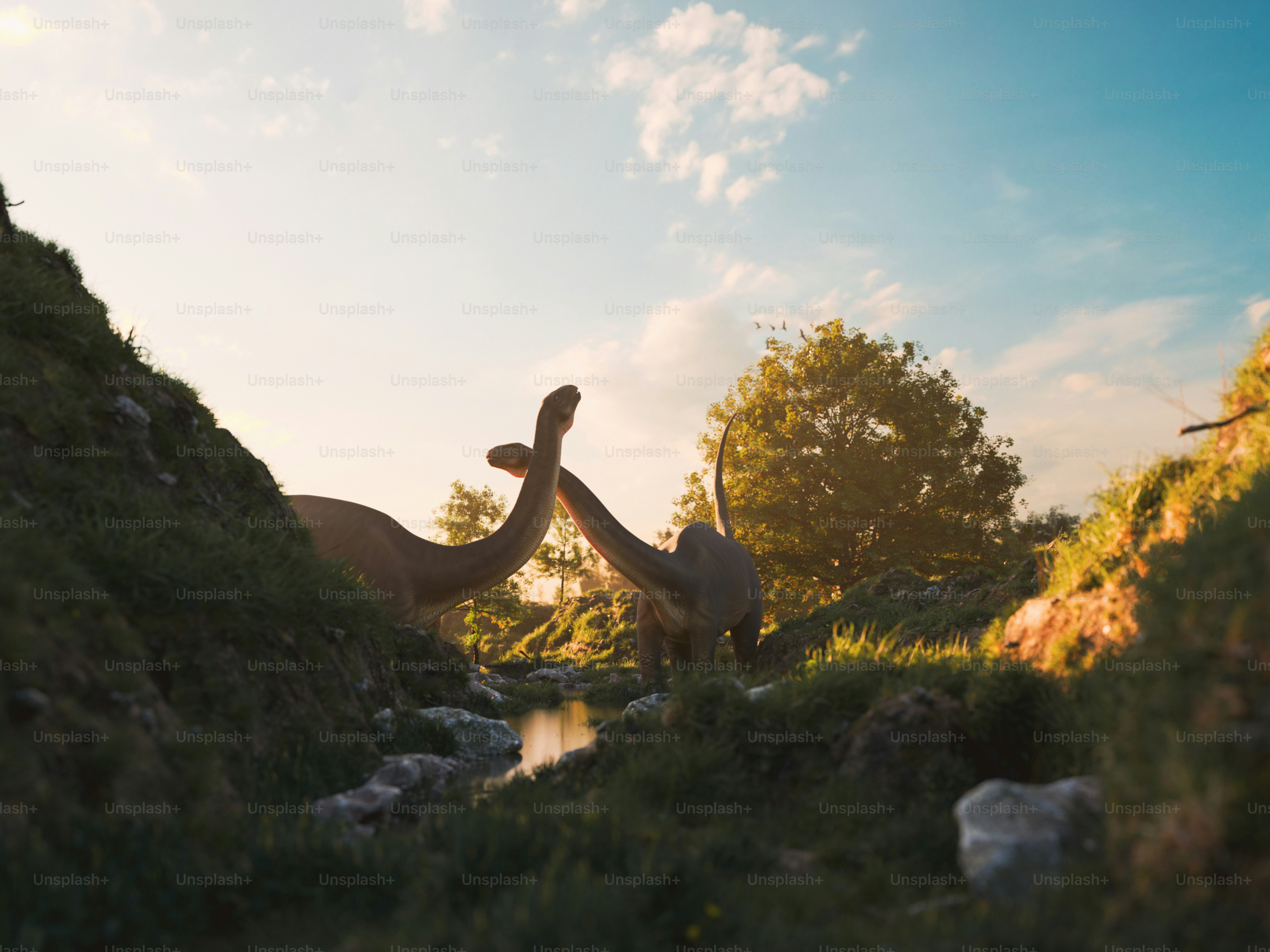 Two brontosaurus reach towards each other in nature. photo – Trees ...
