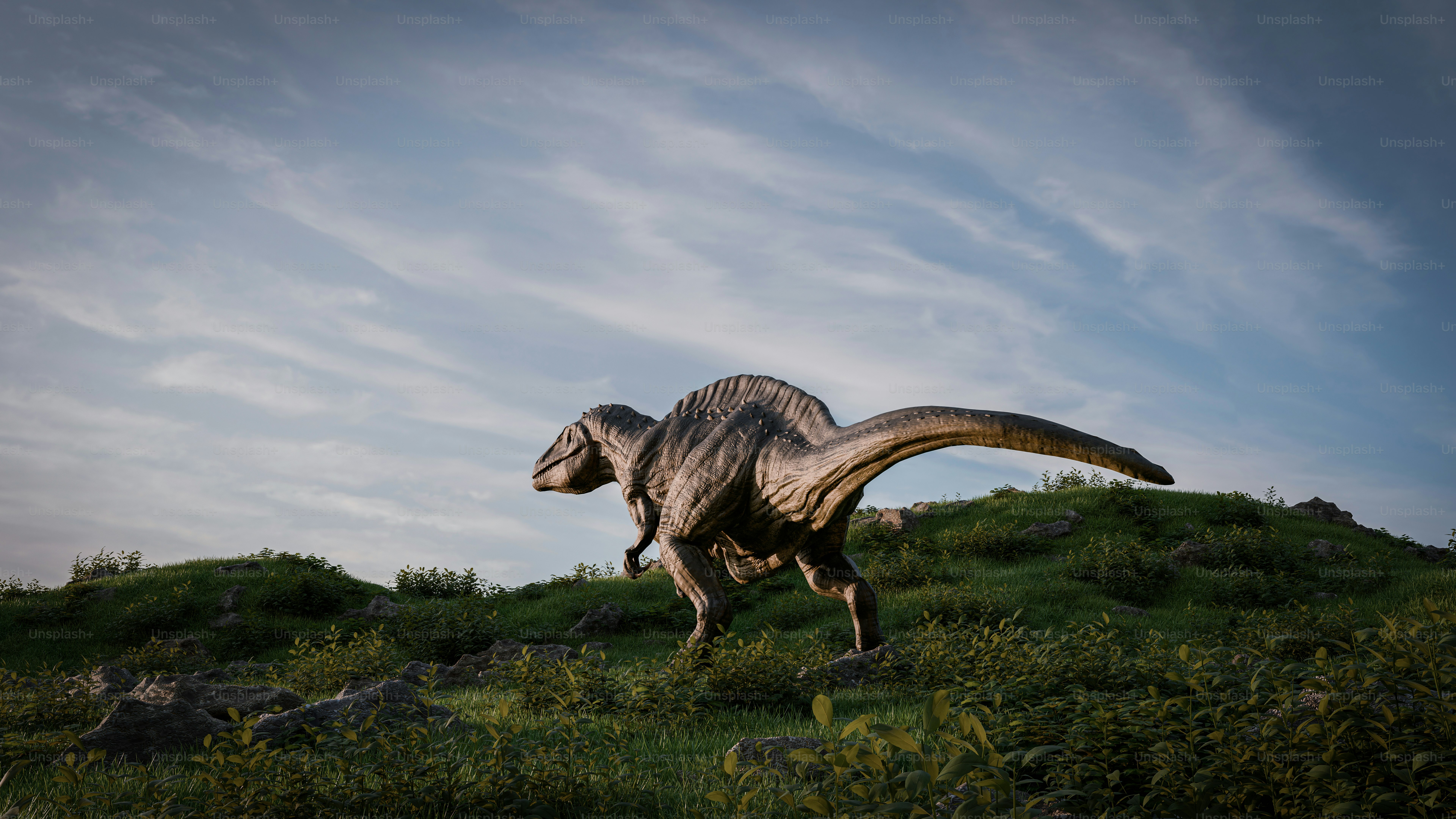 공룡 한 마리가 풀이 무성한 언덕을 가로질러 거닐고 있습니다.