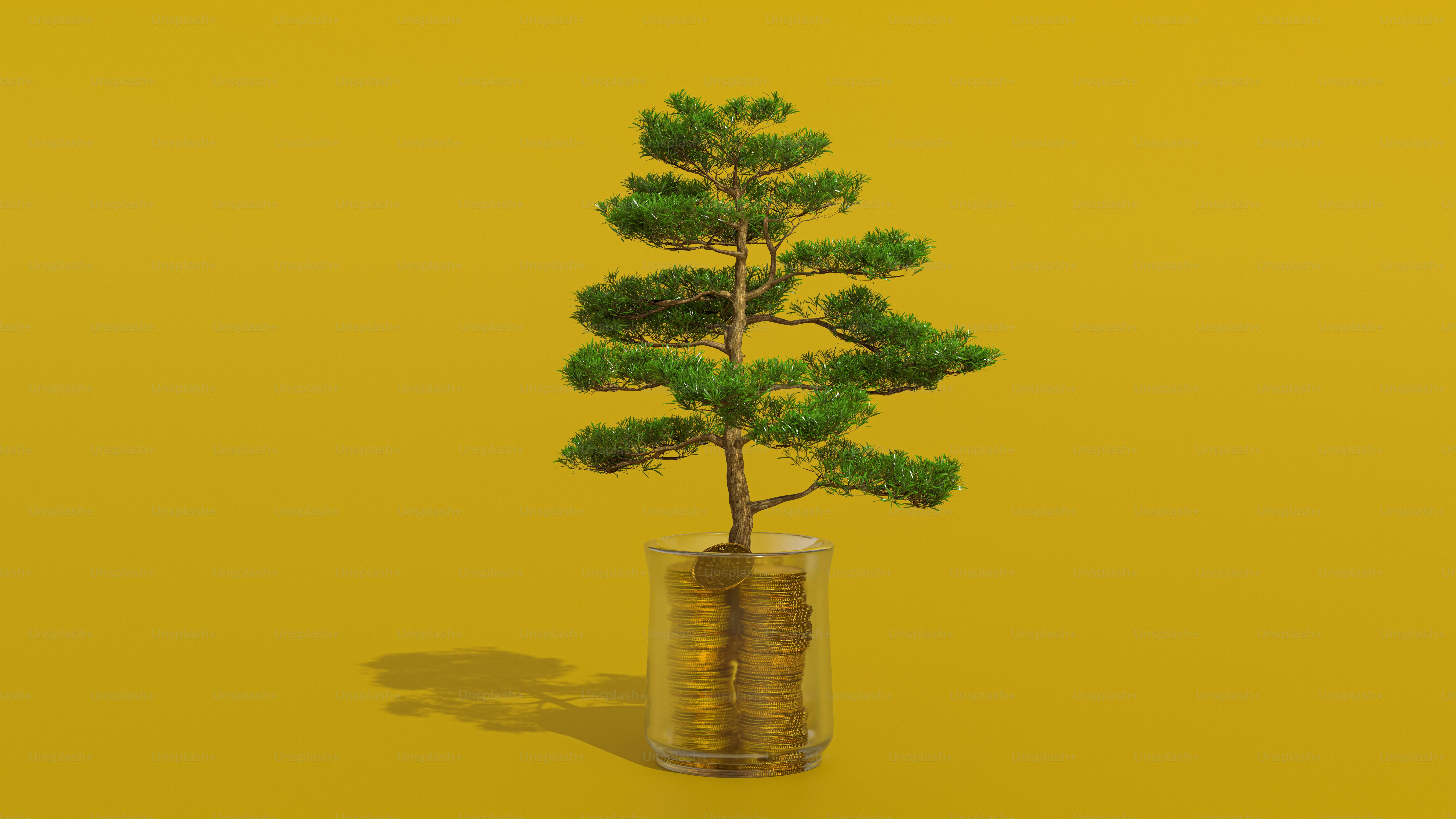 O dinheiro se transforma em uma árvore.