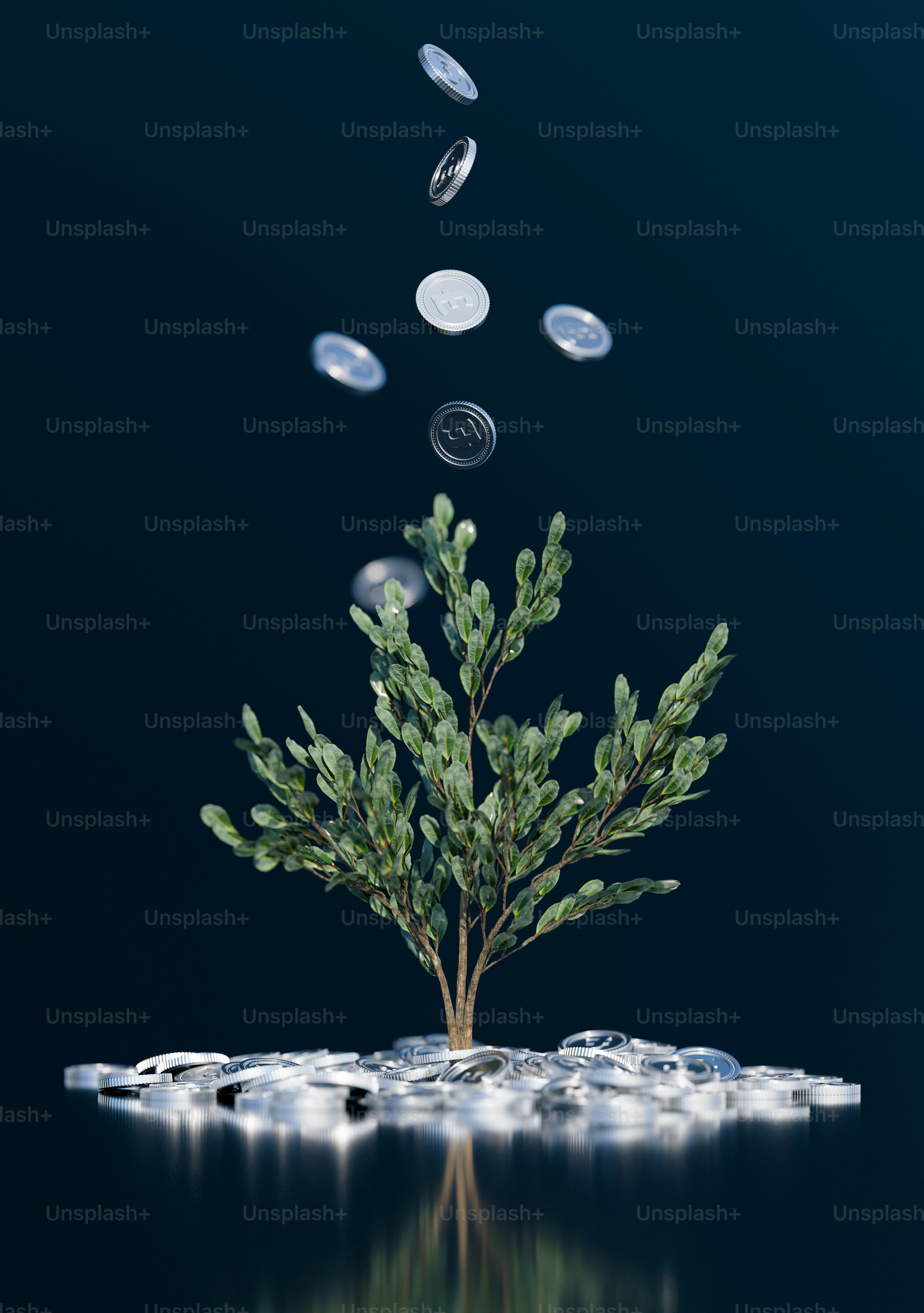 Coins growing from a tree.