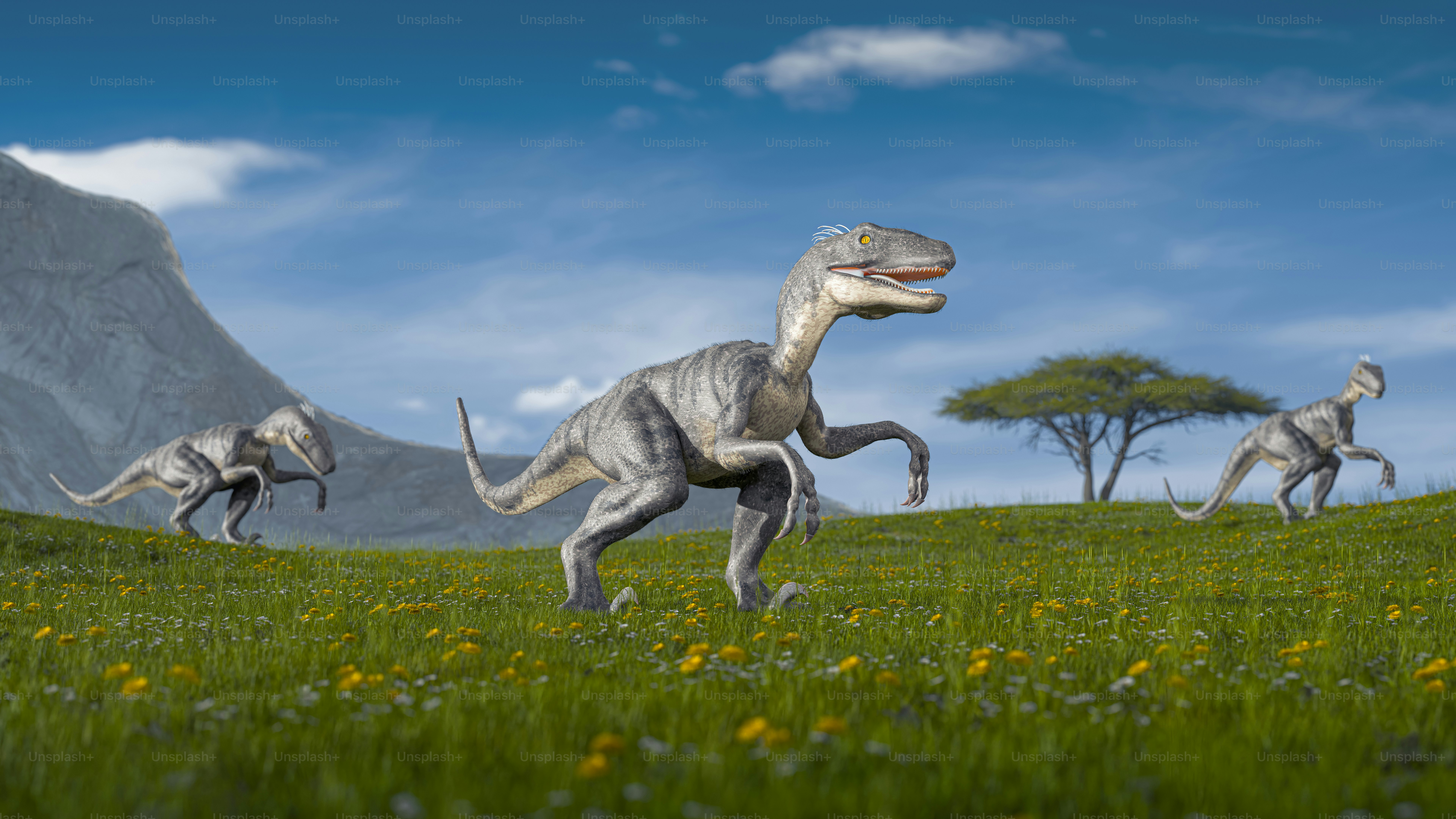 Velociraptors berlari melalui lapangan berumput.