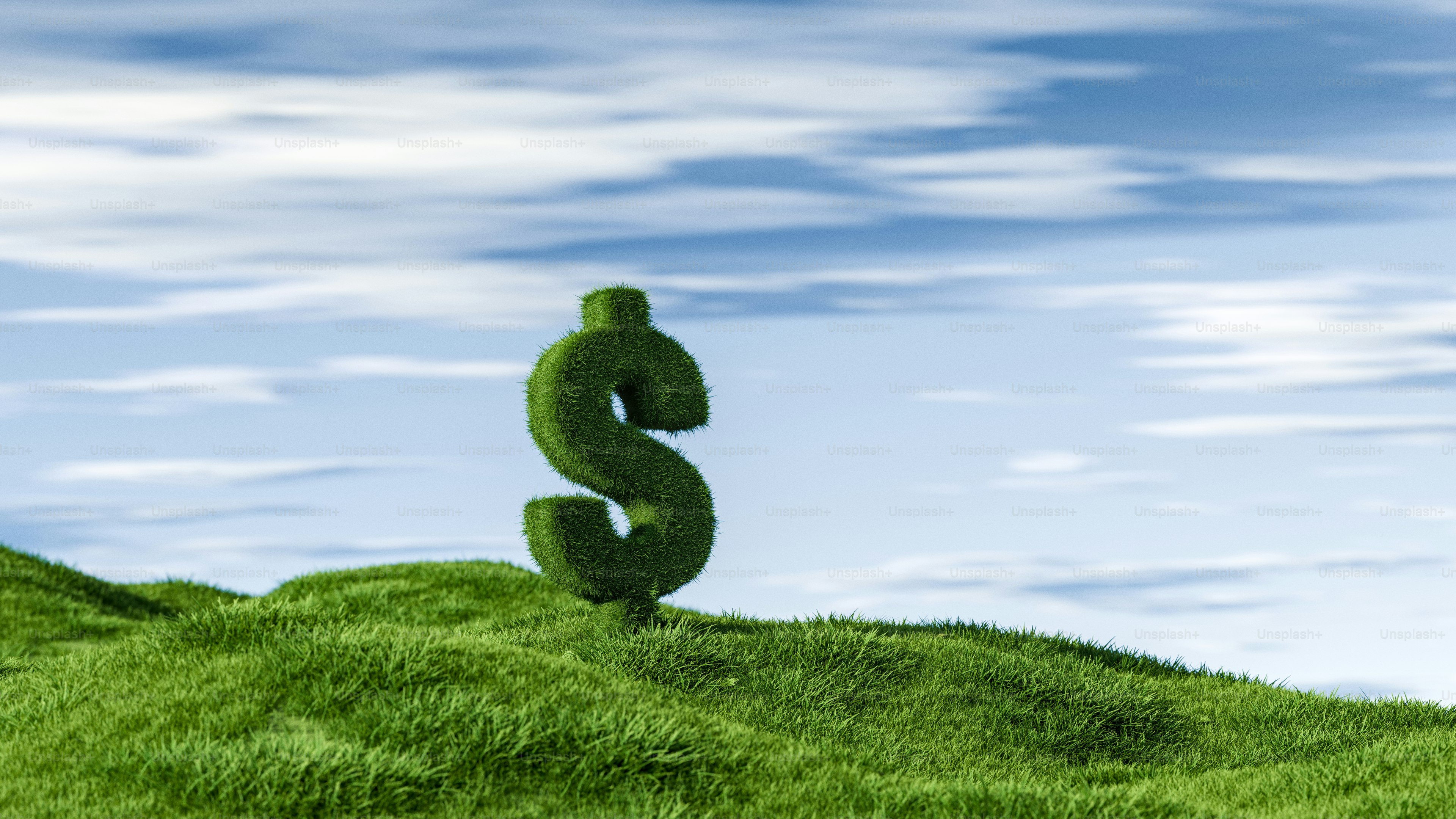 성장하는 돈: 풀로 만든 달러 기호. 사진 – Unsplash의 사업 이미지, image size:3000x1688