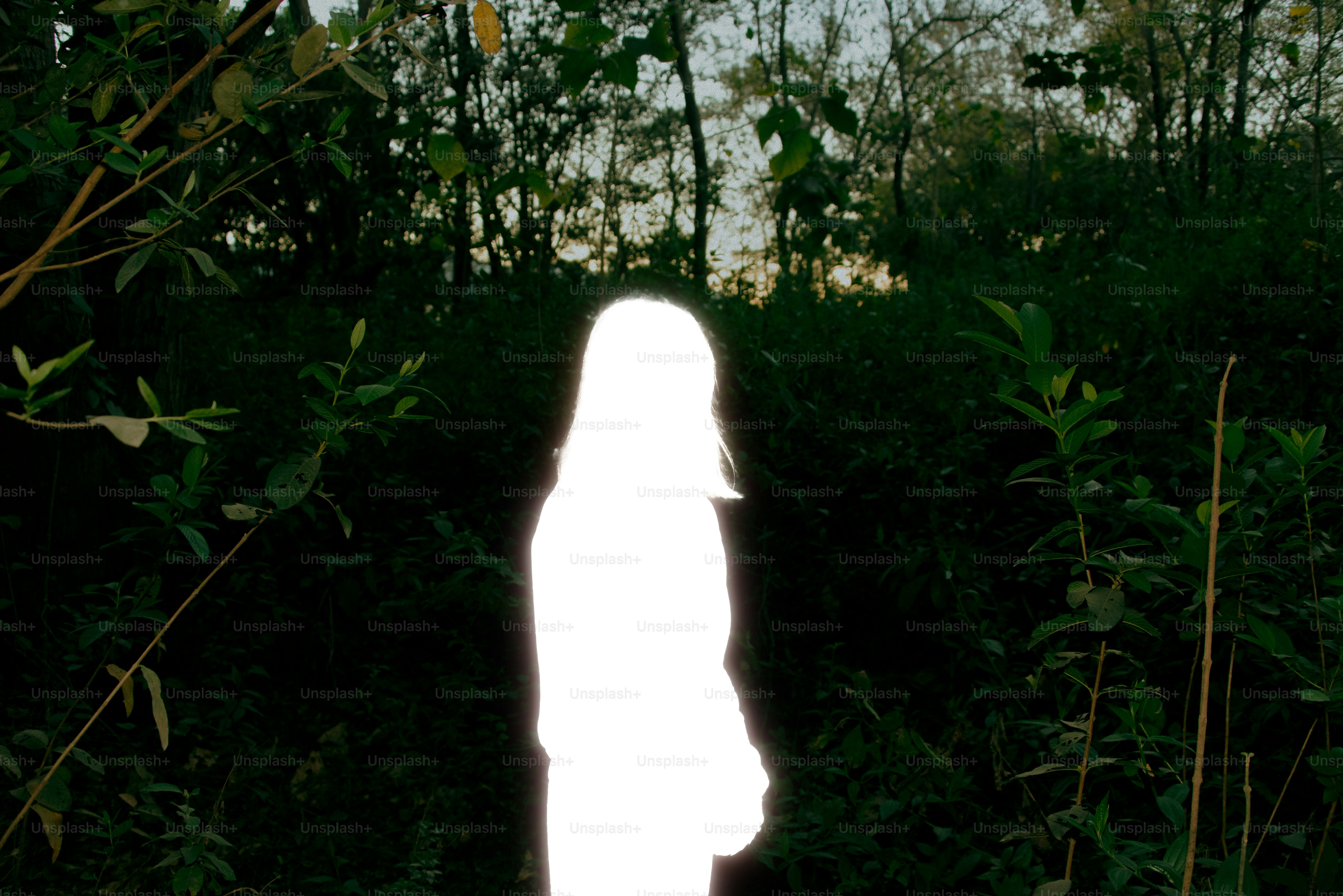 Una figura luminosa appare in mezzo al verde.