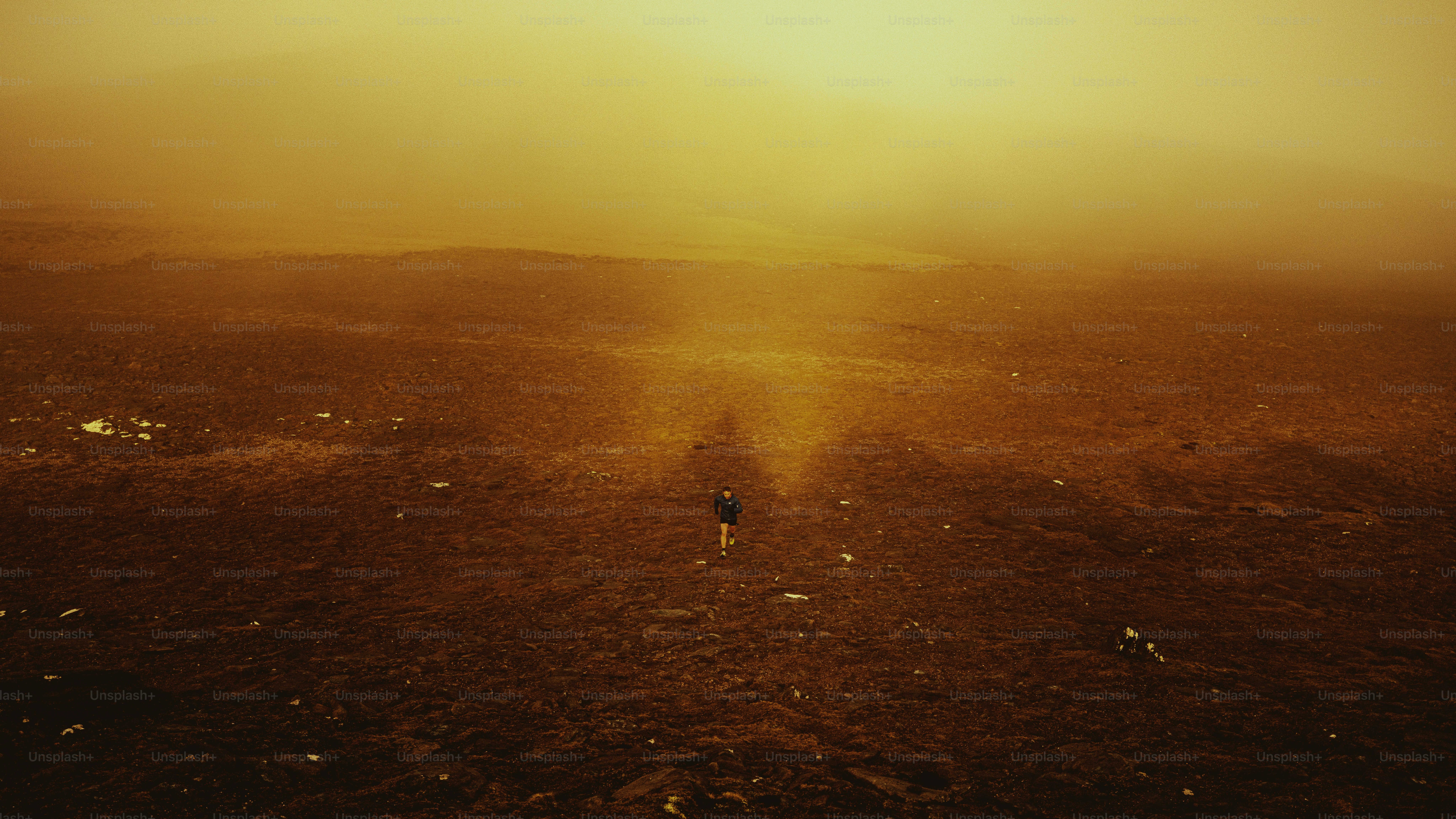 A lonely figure walks through a golden landscape.