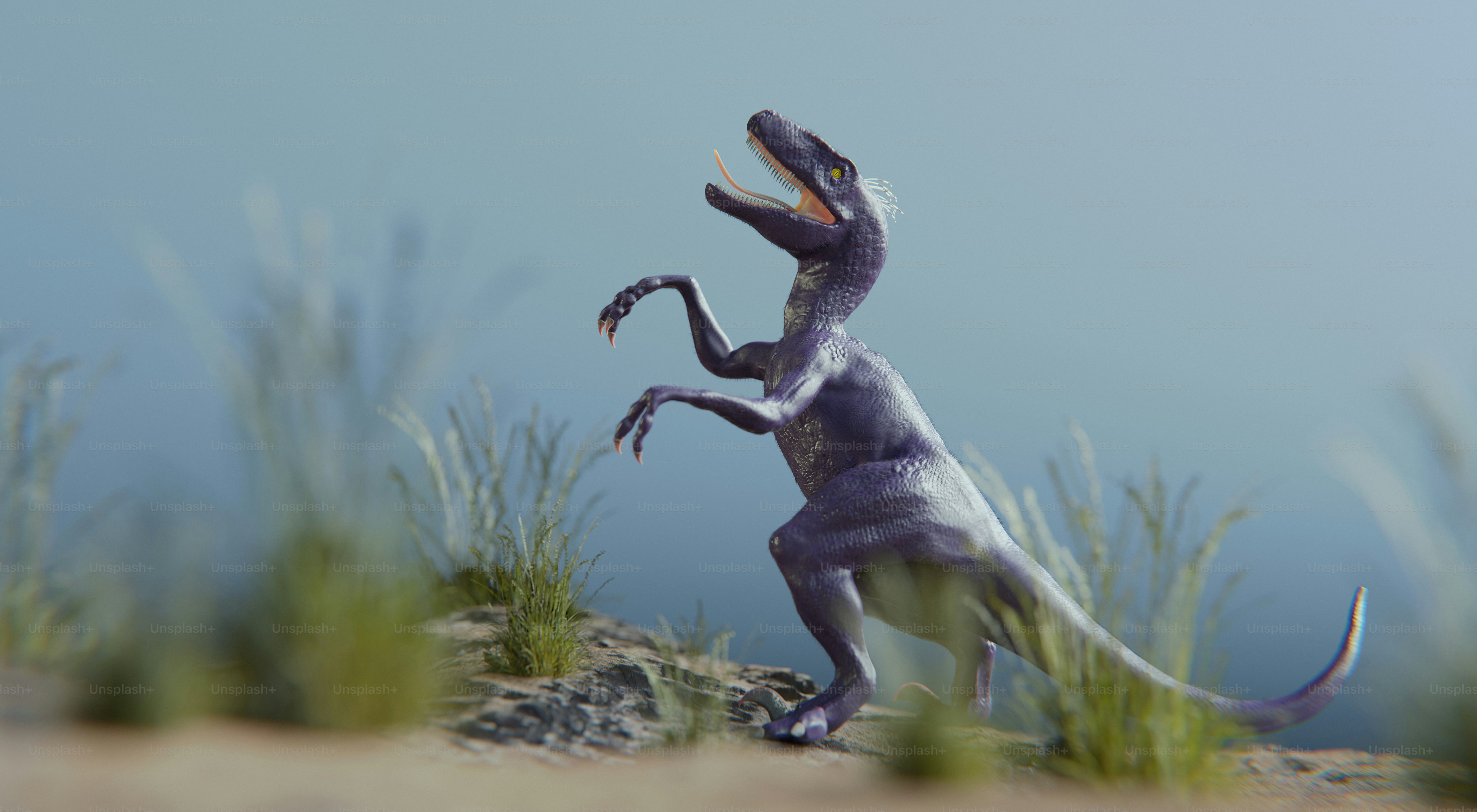 Un ave rapaz está de pie en la hierba.