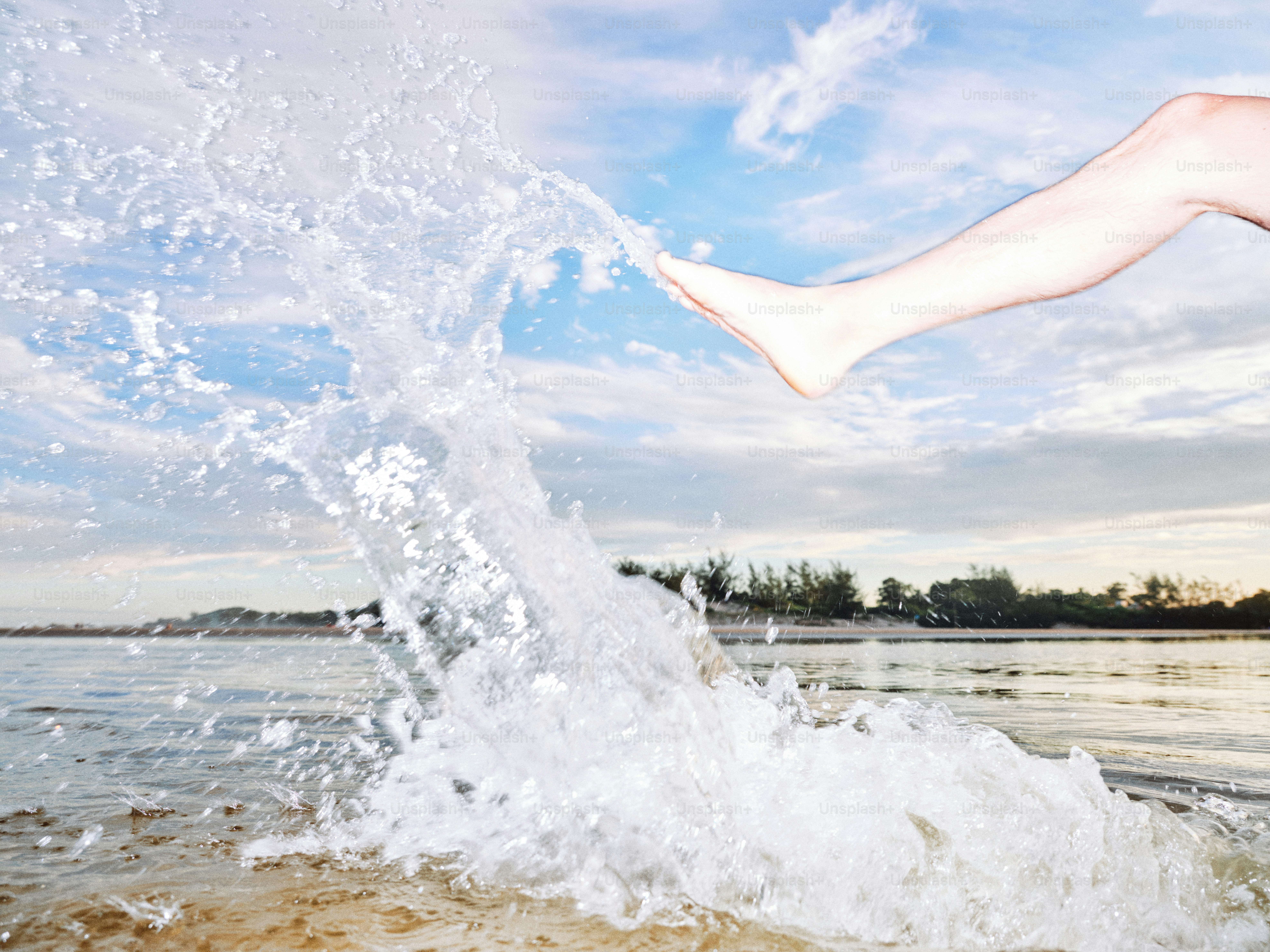 Una gamba schizza acqua vicino alla spiaggia.