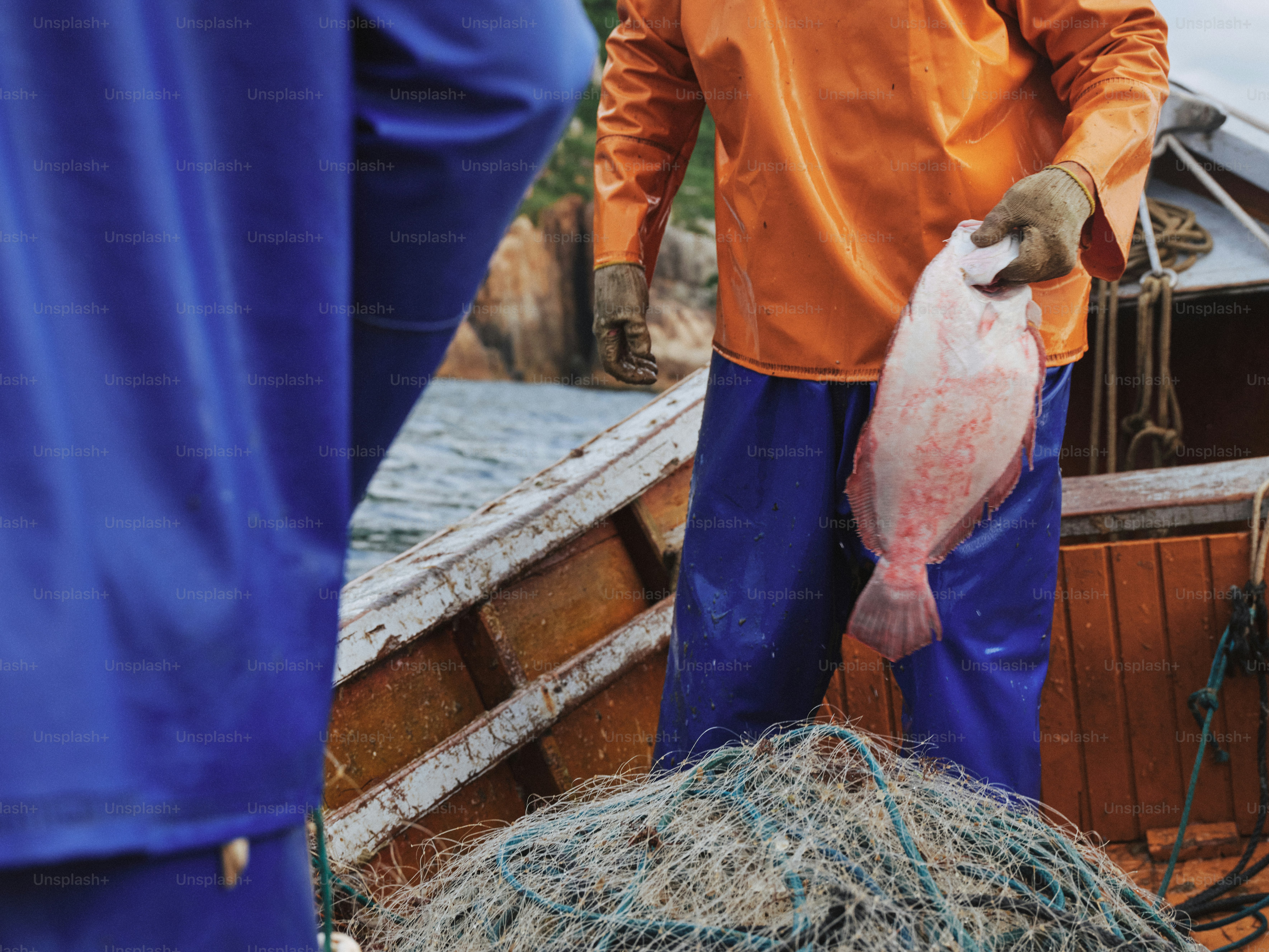 Fischer hält einen Fisch auf einem Boot.