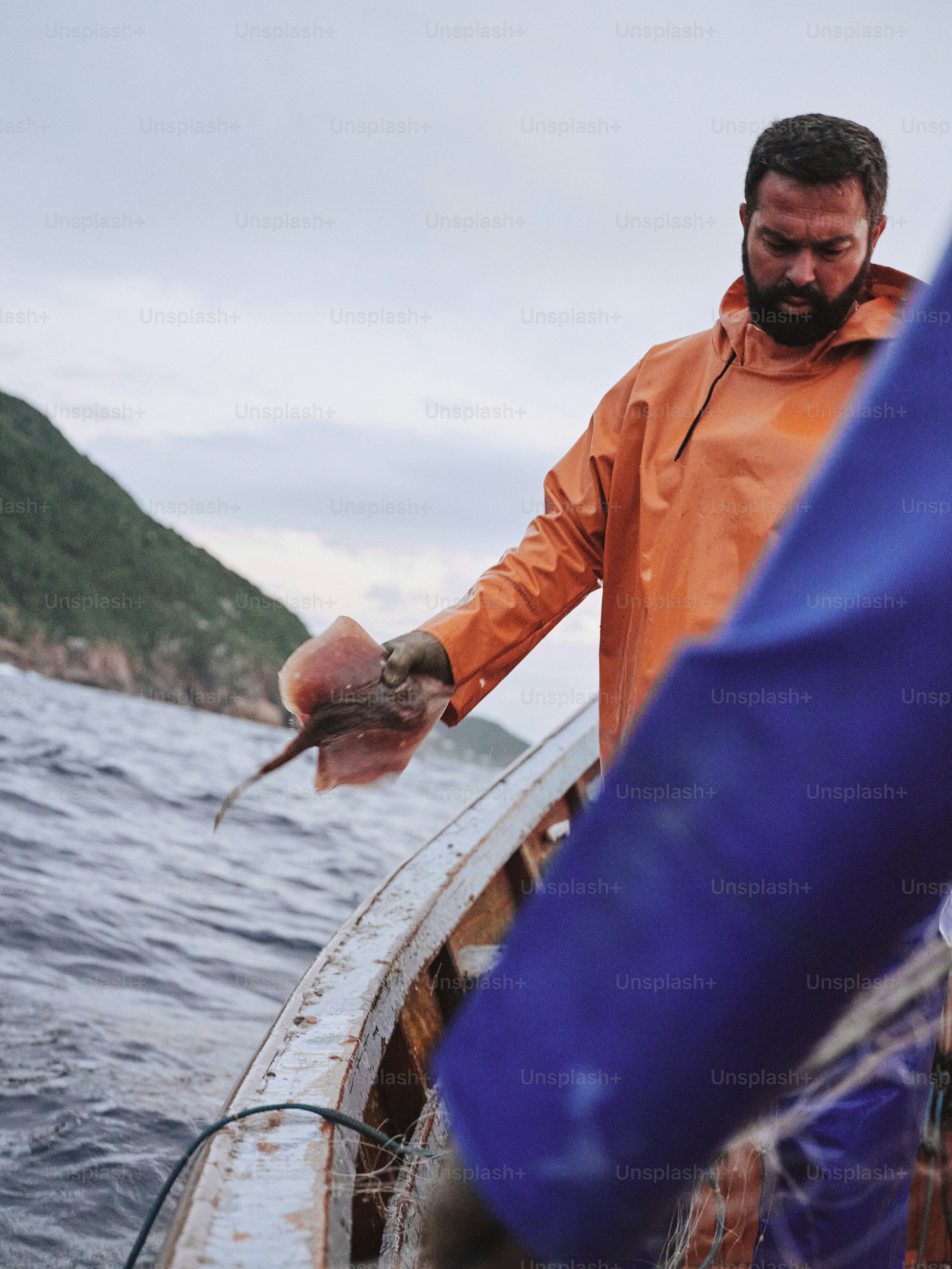 Fischer inspiziert seinen Fang auf einem Boot.