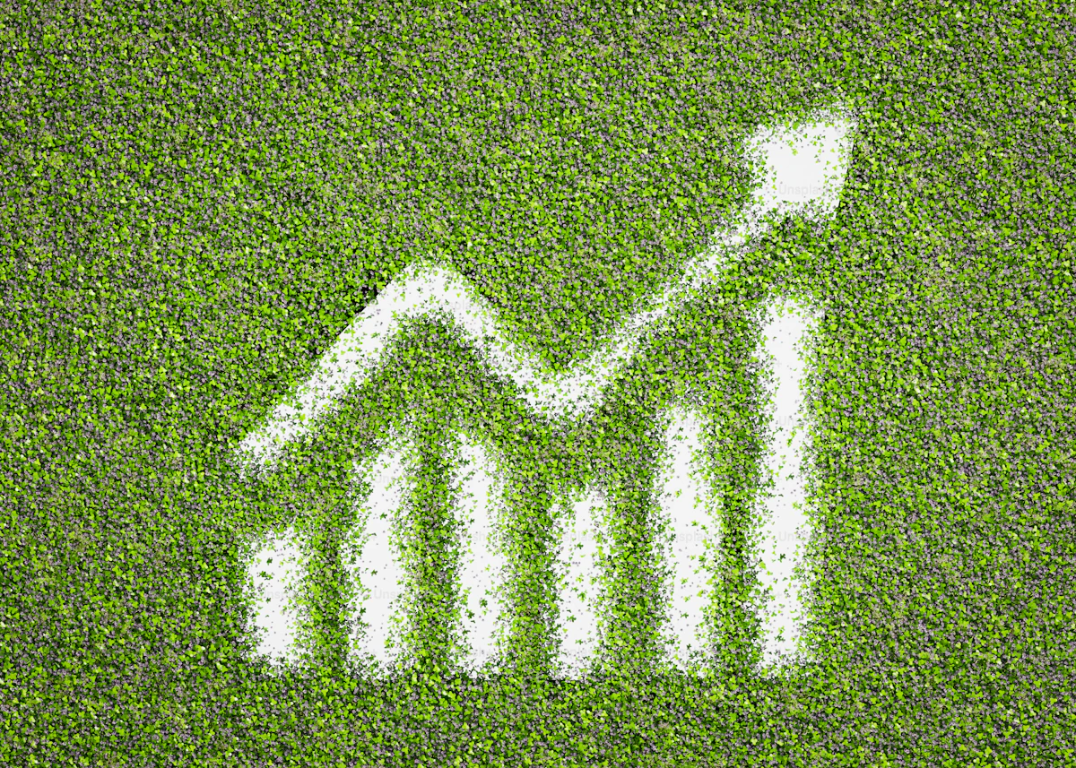 How to Calculate Profit Margin and Markup Correctly