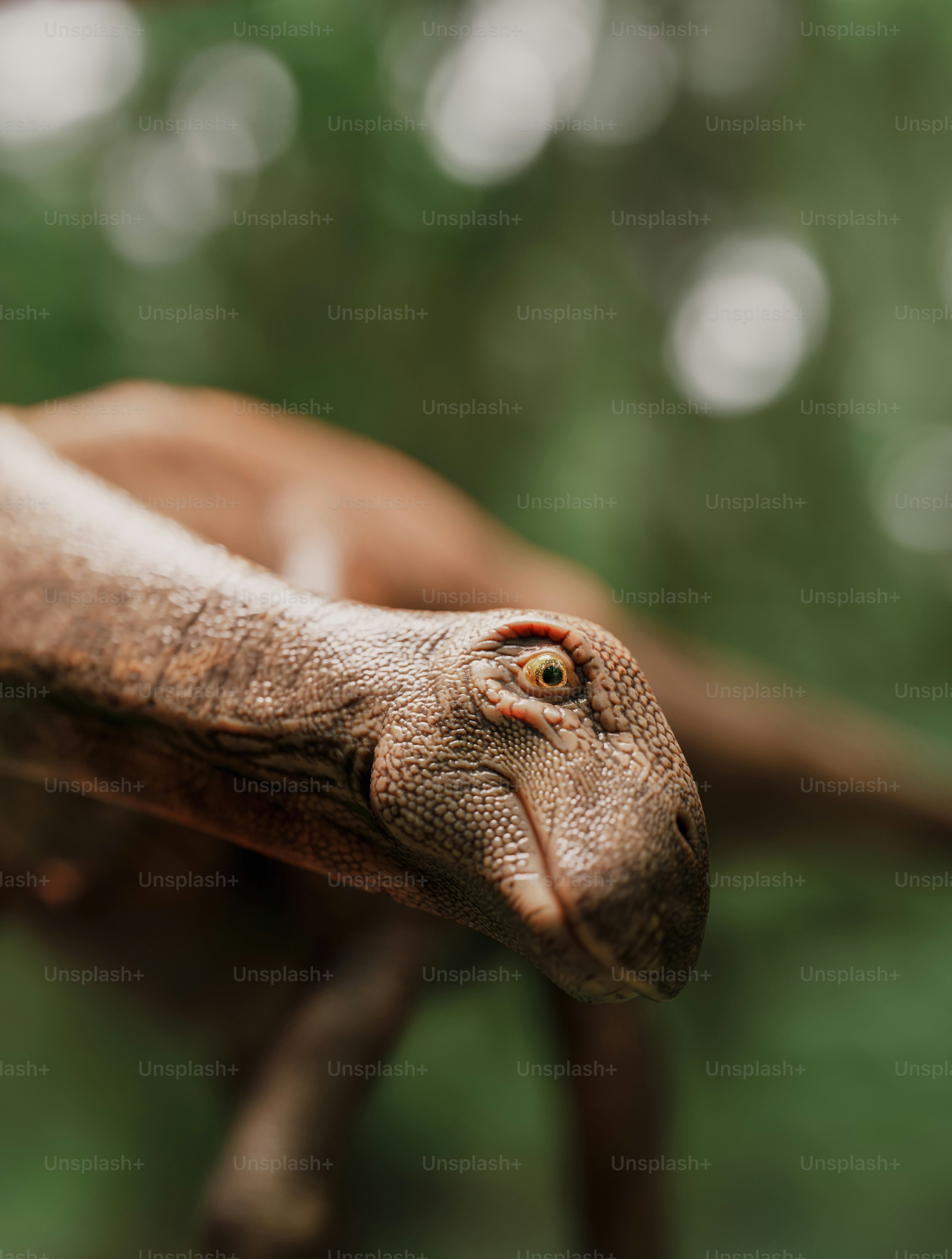 Close-up patung dinosaurus.