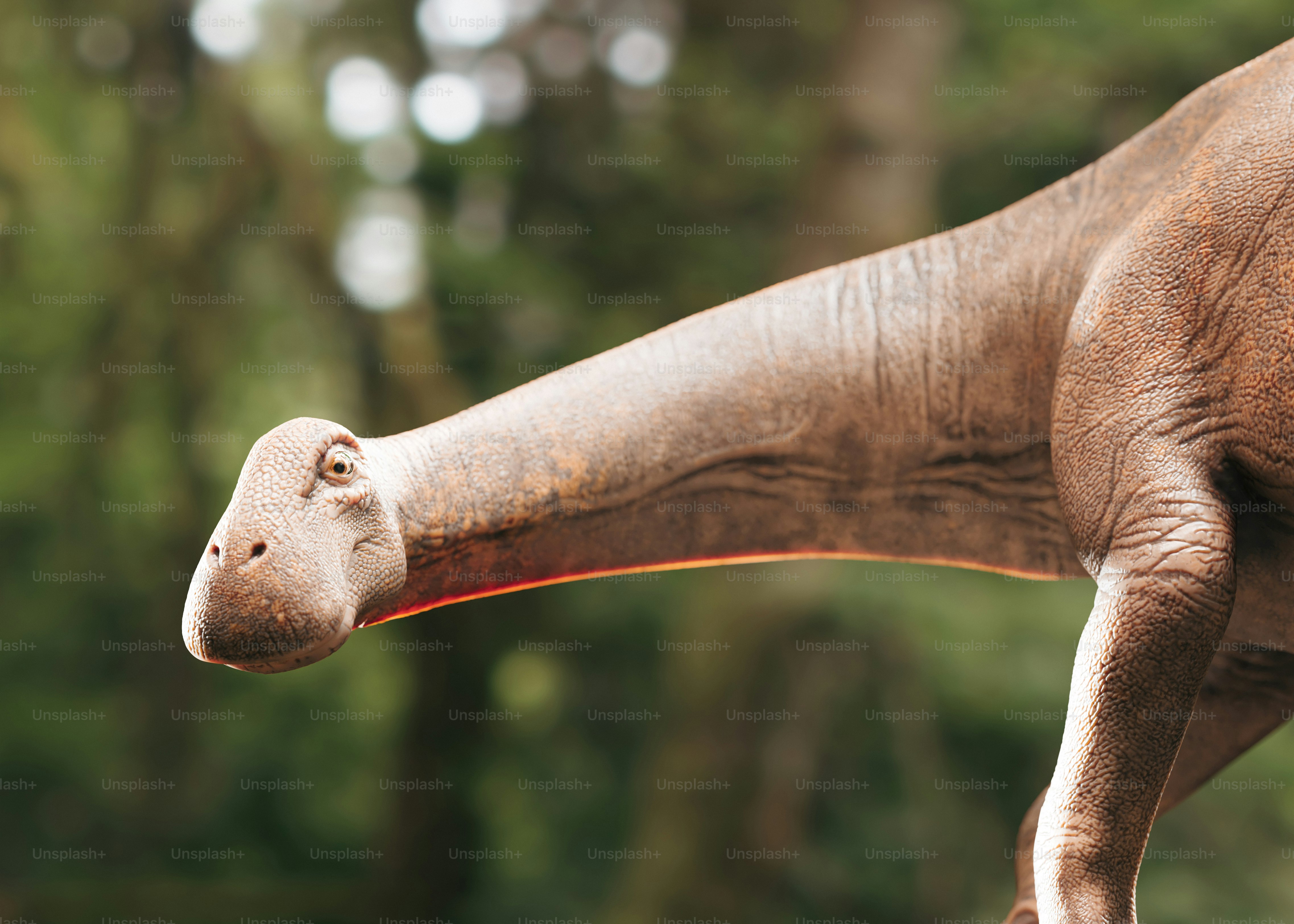 Dinosaurus sauropoda berdiri dengan leher panjang.